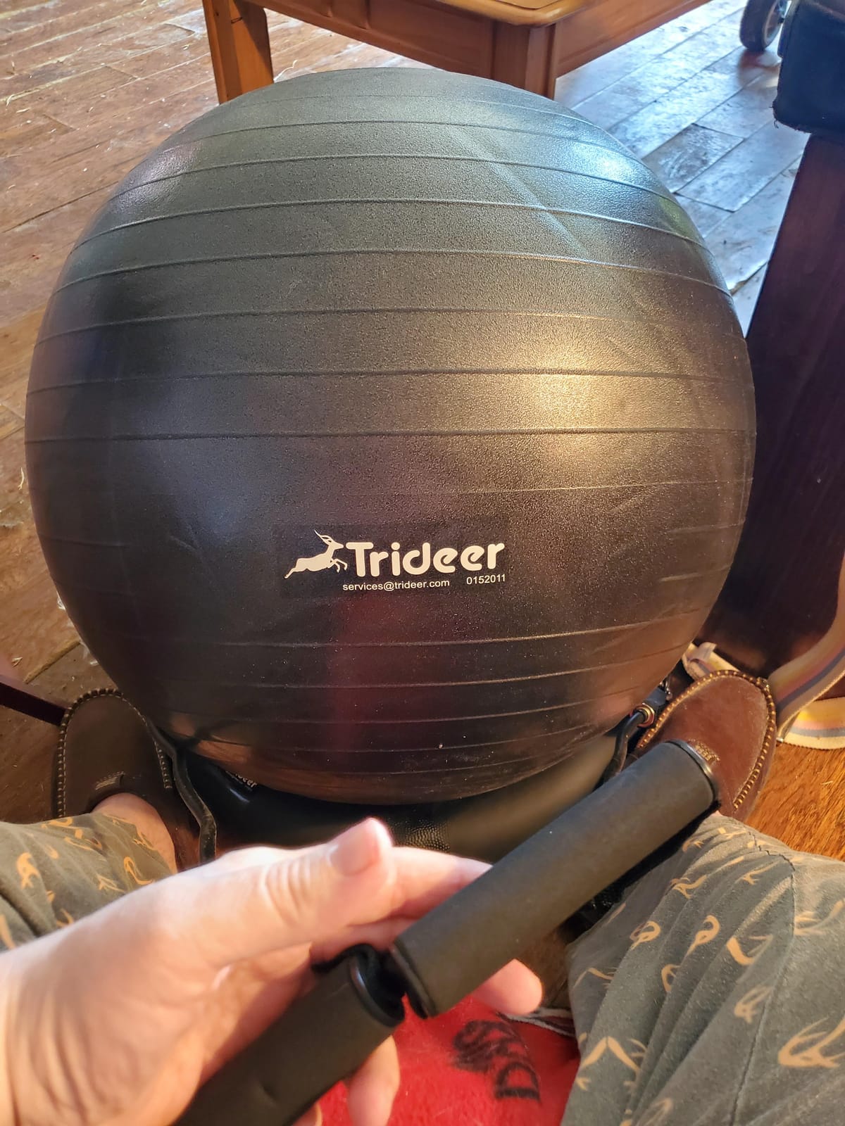 Trideer Exercise Ball Chair with Bands, Stability Ball for Office & Fitness customer photo 1