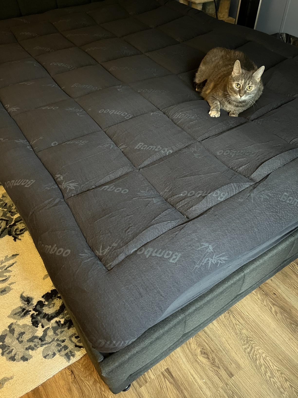 Niagara Sleep Solution Queen Ultra Soft Mattress Topper — Back Pain Relief customer photo 2