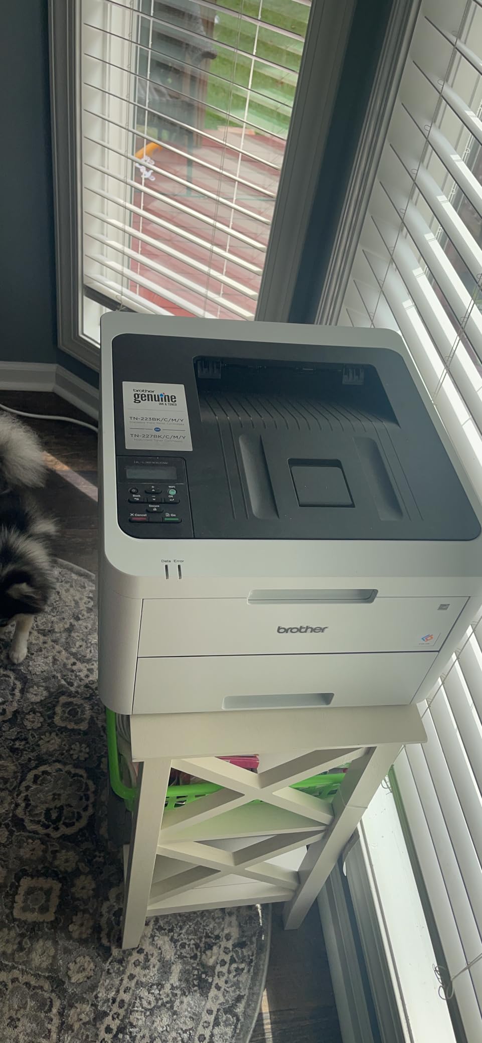 Brother HL-L3230CDW Compact Digital Color Printer Providing Laser Printer Quality Results with Wireless Printing and Duplex Printing, Amazon Dash Replenishment Ready, White customer photo 1