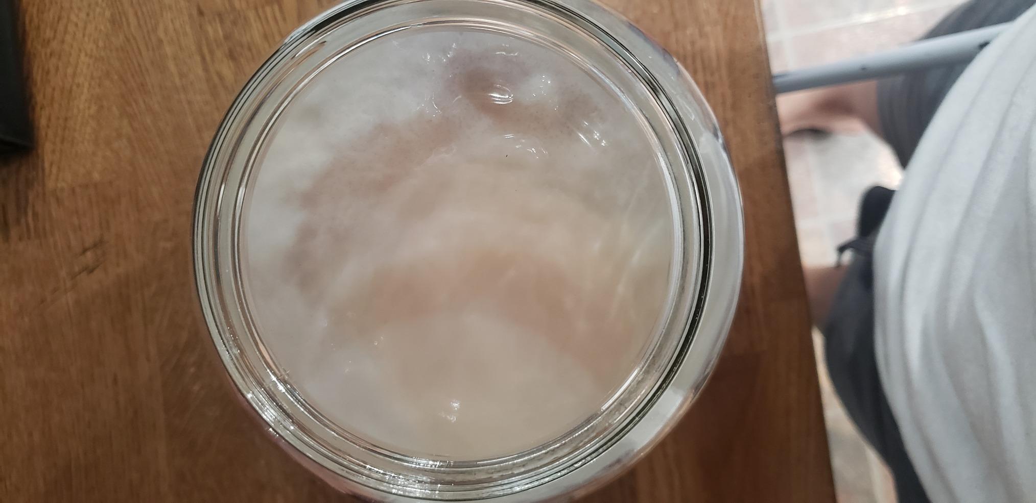 Kombucha Starter Kit with Everything to Brew Kombucha at Home. Kombucha Brewing Kit with SCOBY, Starter Tea, Organic Sugar, pH Strips, Thermometer Strip, Instructions, & More customer photo 2
