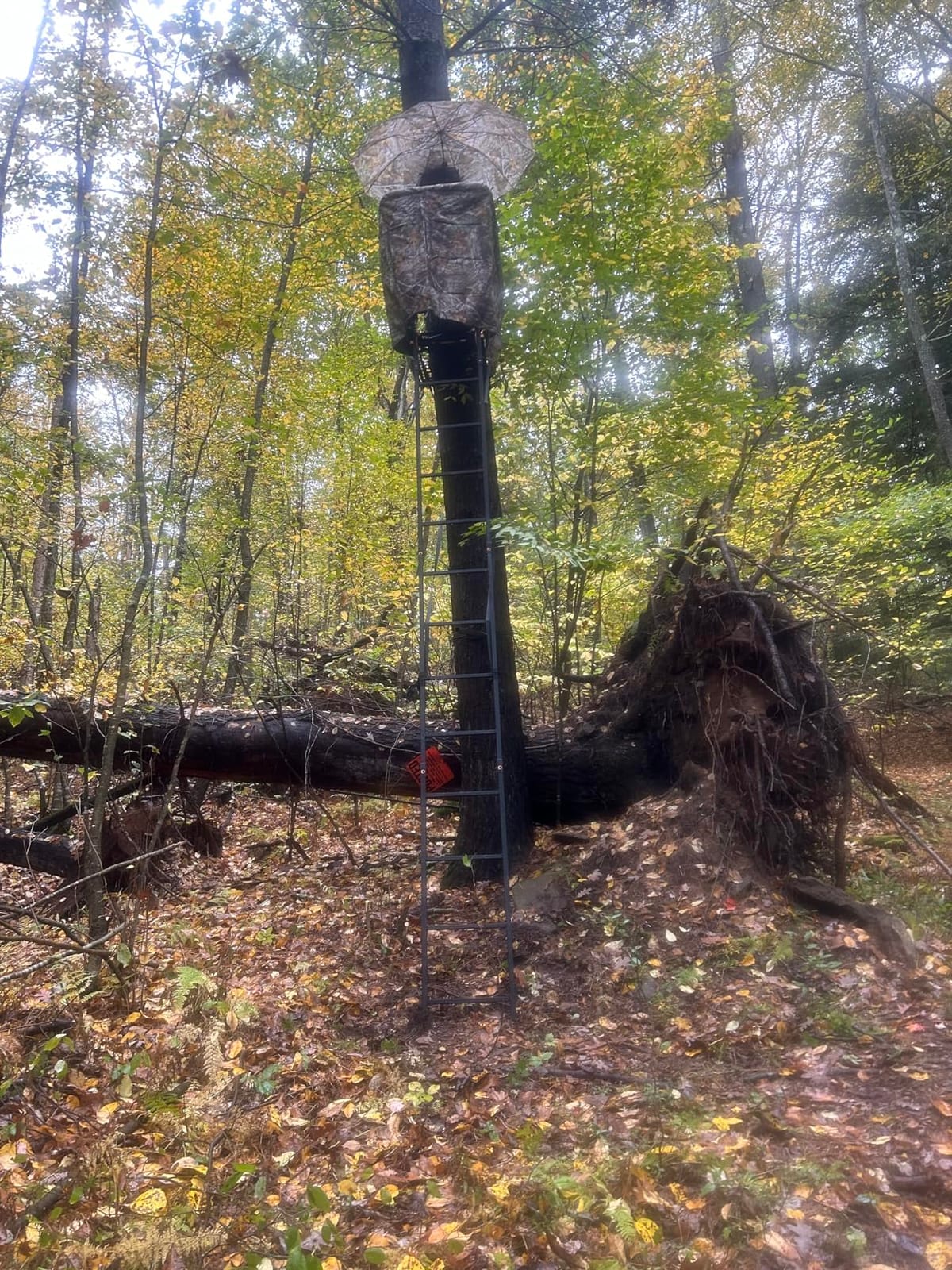 Muddy 1-Person Huntsman Deluxe Steel Ladder Tree Stand, 17 ft Tall customer photo 1