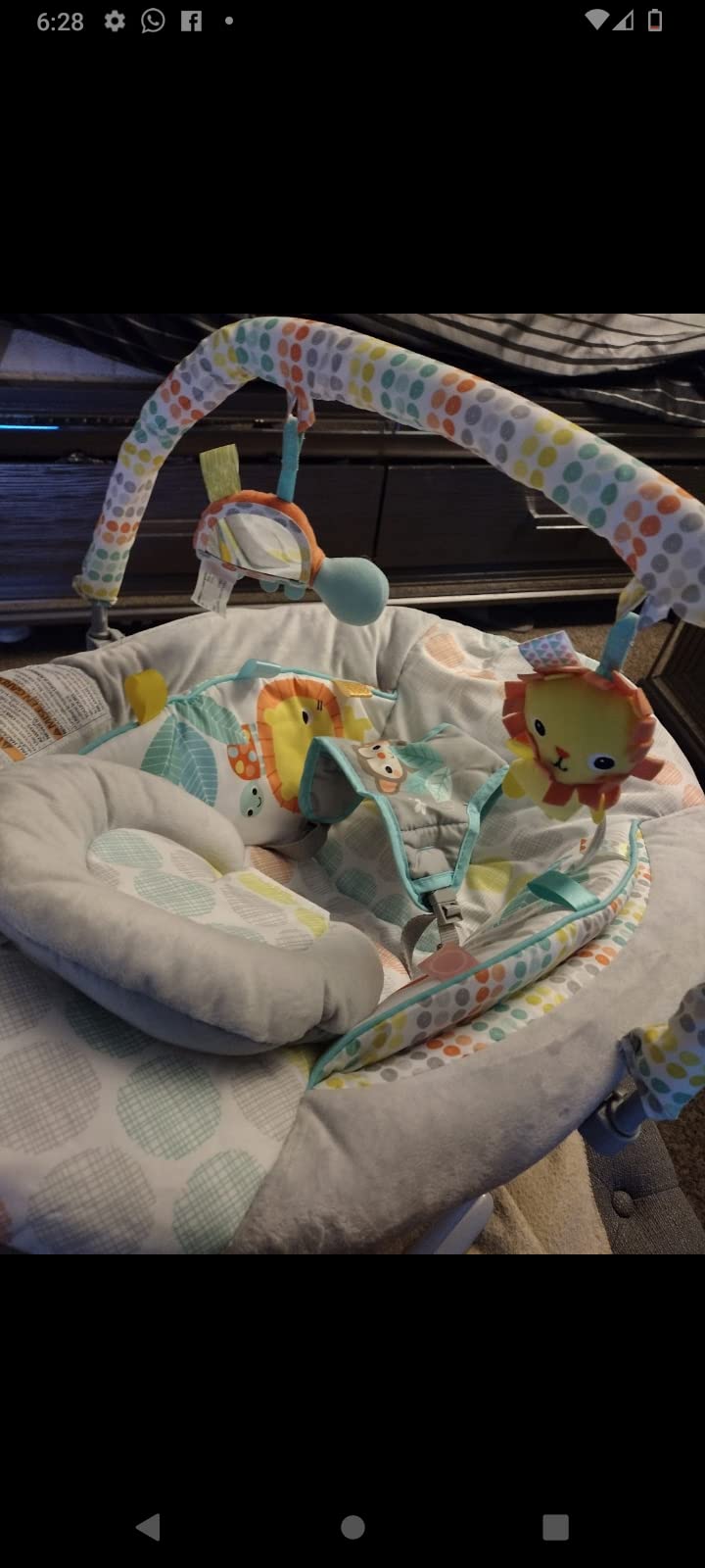 Bright Starts Comfy Baby Bouncer Soothing Vibrations Infant Seat - Taggies, Music, Removable -Toy Bar, 0-6 Months Up to 20 lbs (Whimsical Wild) customer photo 1