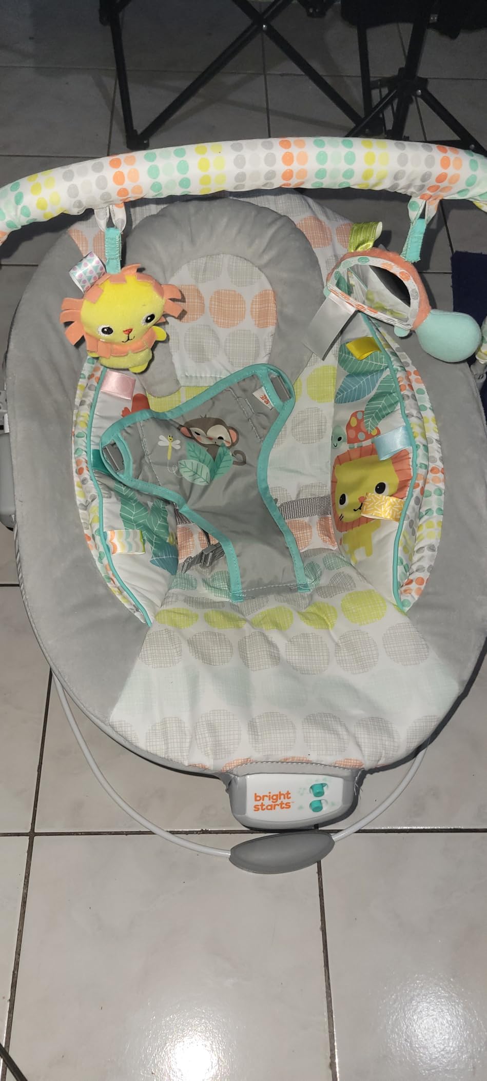 Bright Starts Comfy Baby Bouncer Soothing Vibrations Infant Seat - Taggies, Music, Removable -Toy Bar, 0-6 Months Up to 20 lbs (Whimsical Wild) customer photo 2