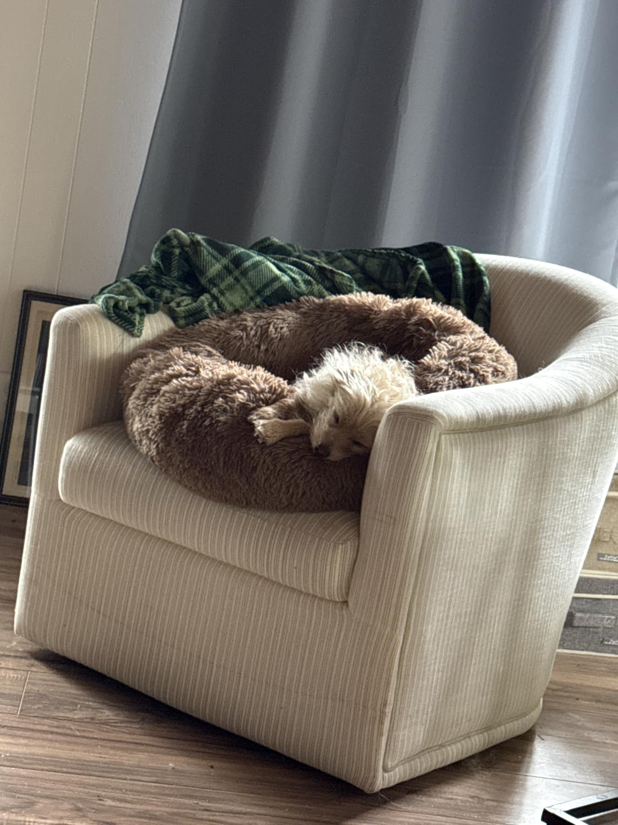 MIXJOY Orthopedic Dog Bed Comfortable Donut Cuddler Round Pet Beds Ultra Soft Washable Dog and Cat Cushion (20''/23''/30'') (23'', Brown) customer photo 1