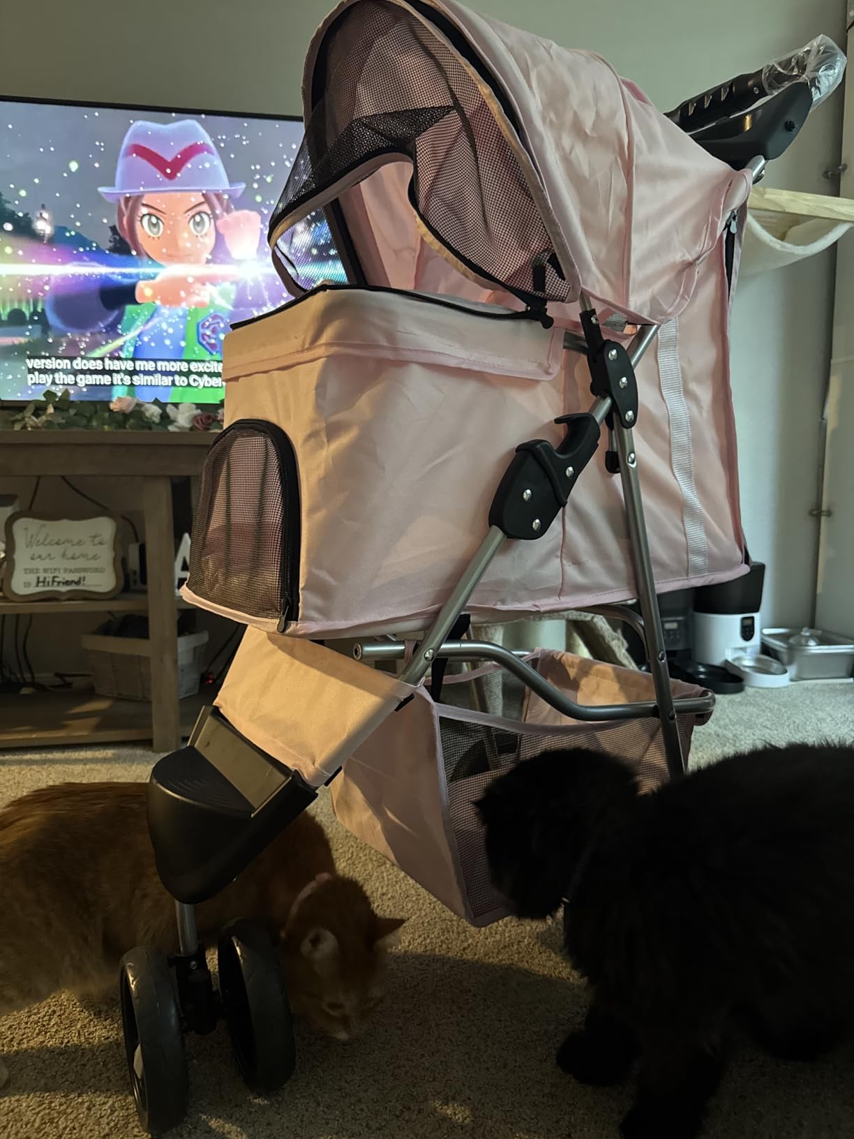 TRIXIE Foldable Pet Stroller for Cats and Dogs, Pet Carrier Strolling Cart with Weather Cover, Storage Basket, Cup Holder, Black customer photo 1