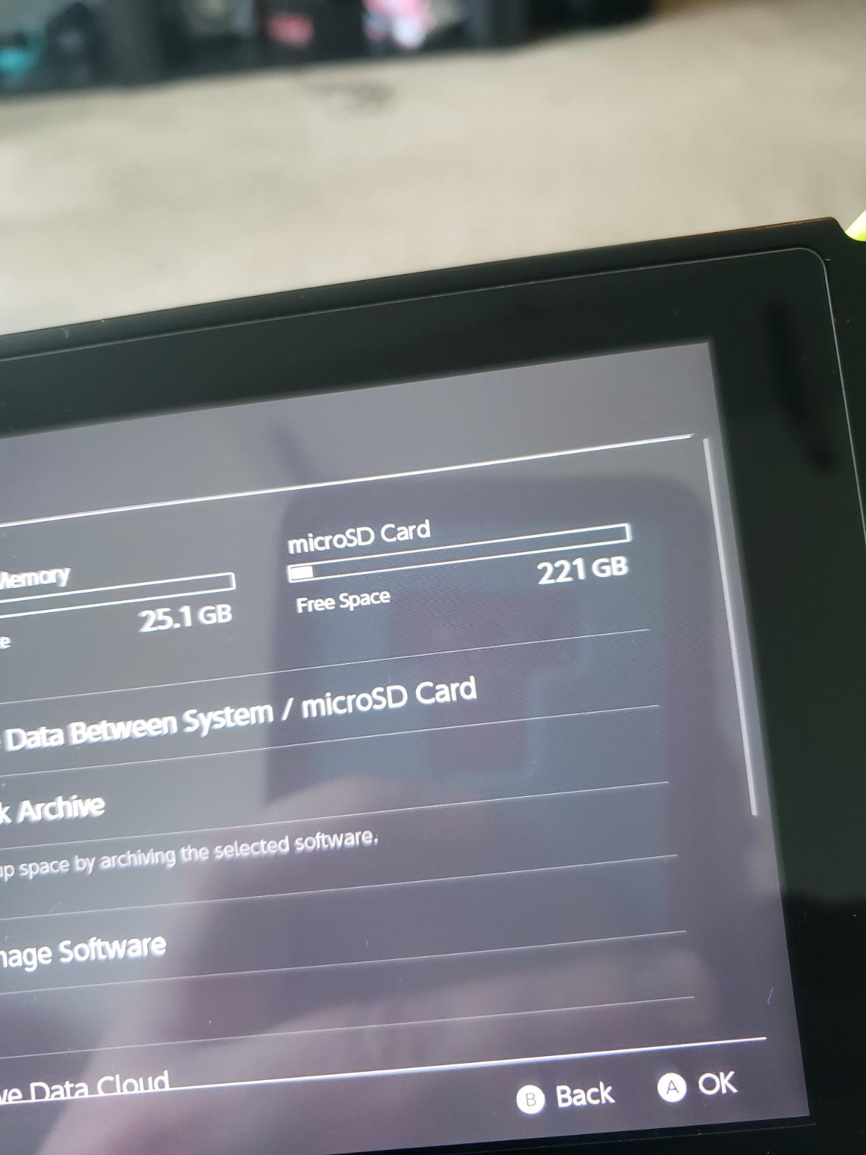 【5-Years Data Recovery】 GIGASTONE 256GB Micro SD Card, 4K Camera Pro, A2 V30 for Smartphone, Gopro, Action Cams, 4K UHD Video, Nintendo-Switch Compatible, Up to 100MB/s, UHS-I U3 C10 with Adapter customer photo 1