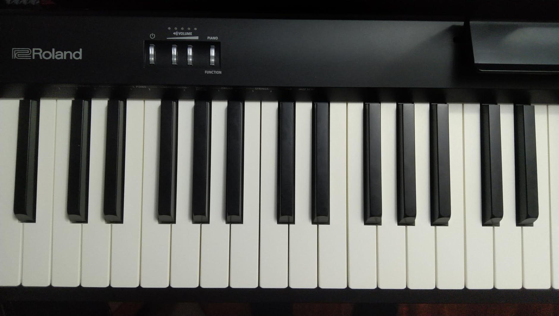 Roland FP-10 Compact 88-Note Digital Piano customer photo 2