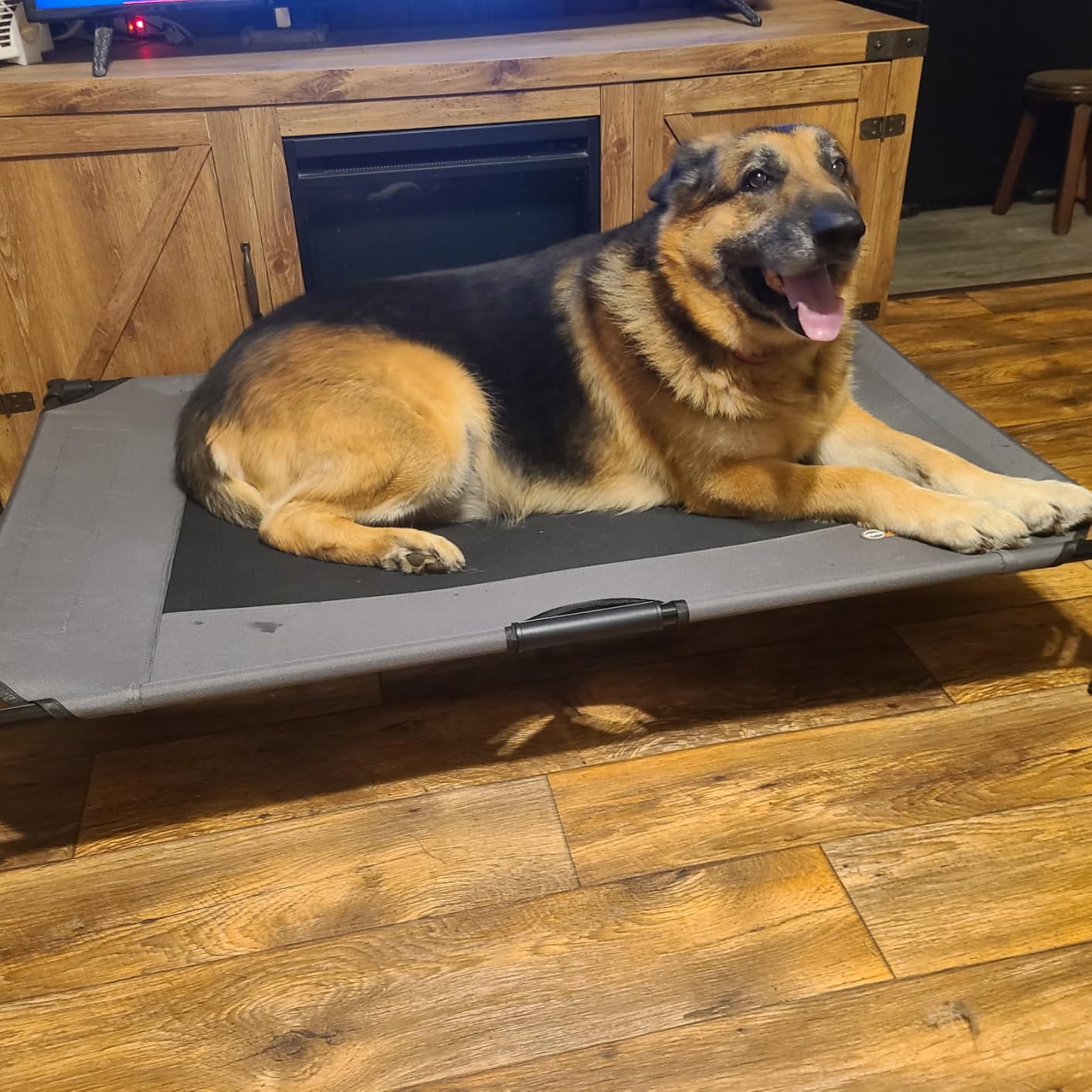 K&H Outdoor Elevated Dog Bed for Medium & Large Pets, Chocolate, 42x30in customer photo 1