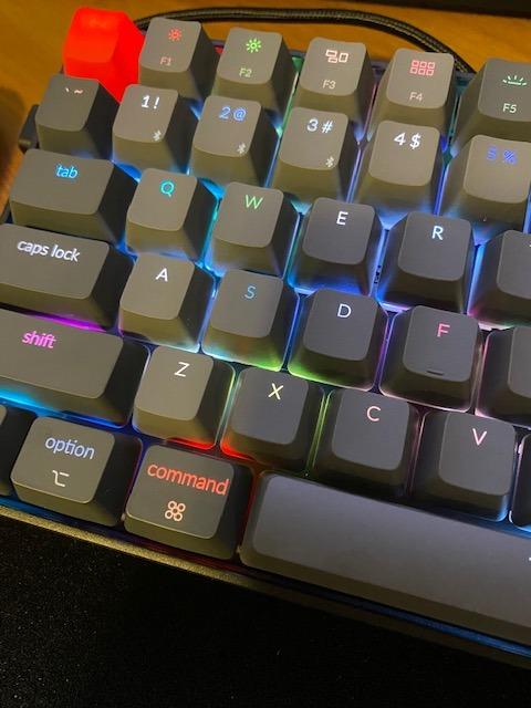 Keychron K2 75% Layout RGB Bluetooth Wireless Mechanical Keyboard with Keychron Super Brown Switch/Anti Ghosting/N-Key Rollover, Compact 84 Keys USB Wired Gaming Keyboard for Mac Windows-Version 2 customer photo 1