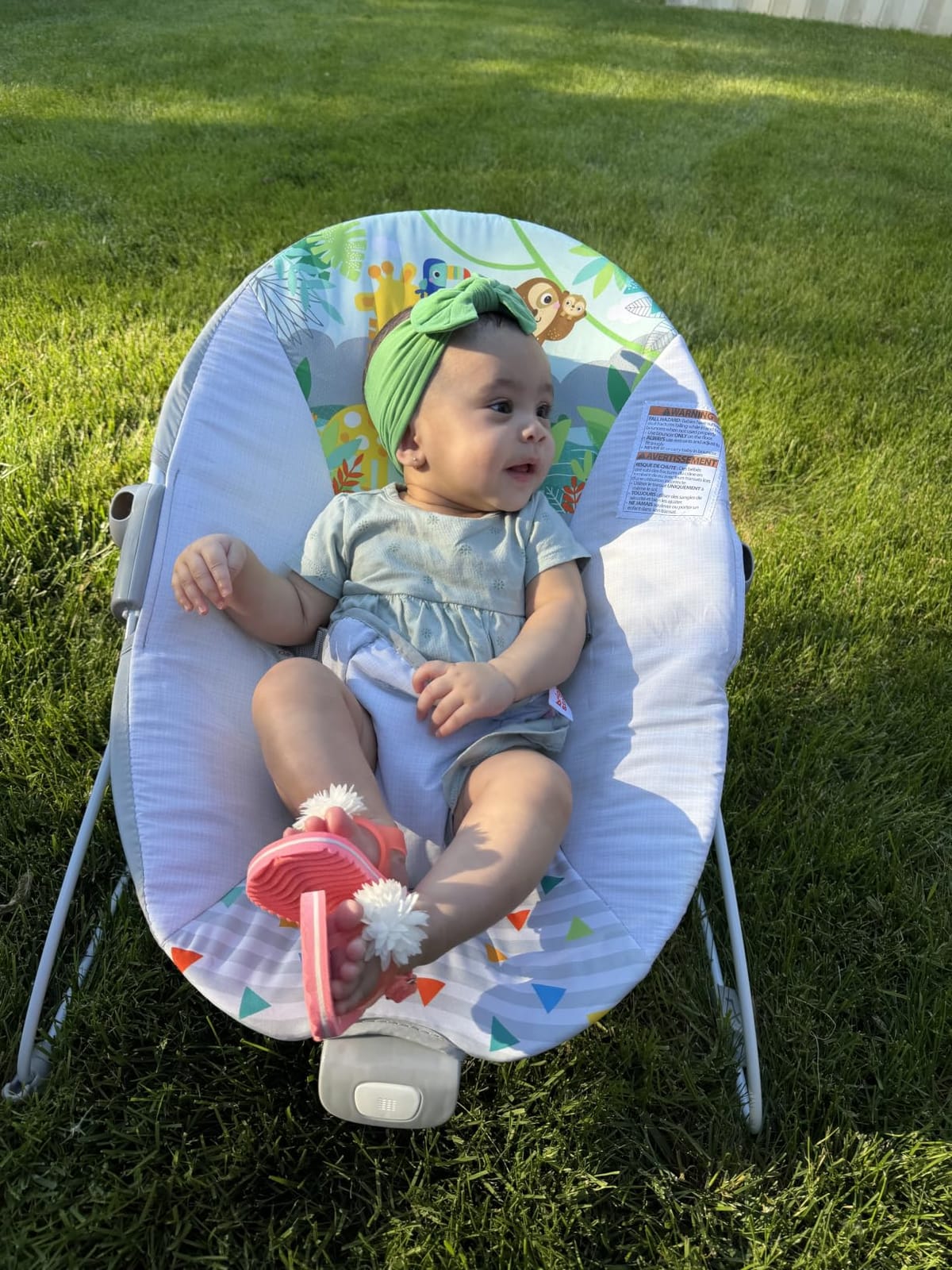 Bright Starts Baby Bouncer Soothing Vibrations Infant Seat - Removable -Toy Bar, Nonslip Feet, 0-6 Months Up to 20 lbs (Safari Fun) customer photo 1