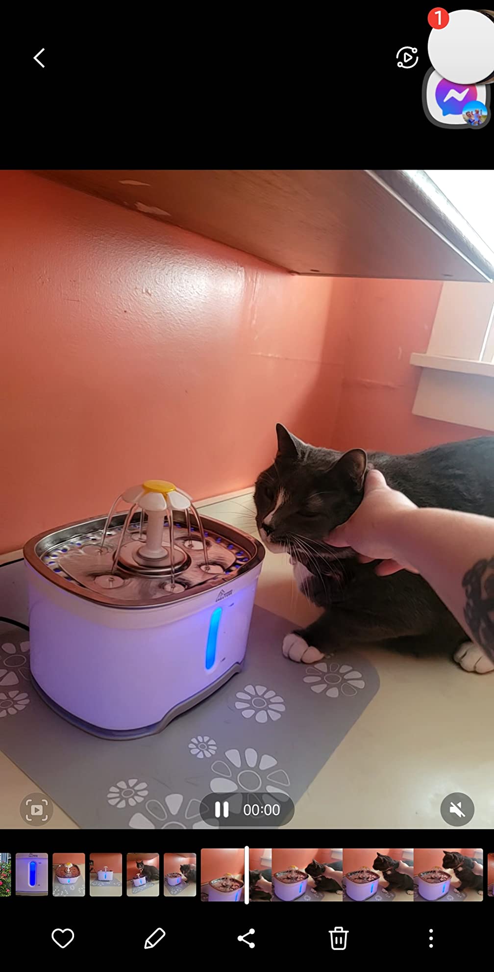 Wonder Creature Cat Water Fountain Stainless Steel Lid 81oz/2.4L-3 Filters | Pet Fountain with 3 Carbon Filters, 1 Mat, Quiet pump, LED Water Level Window, BPA-Free Stainless Steel Lid customer photo 2