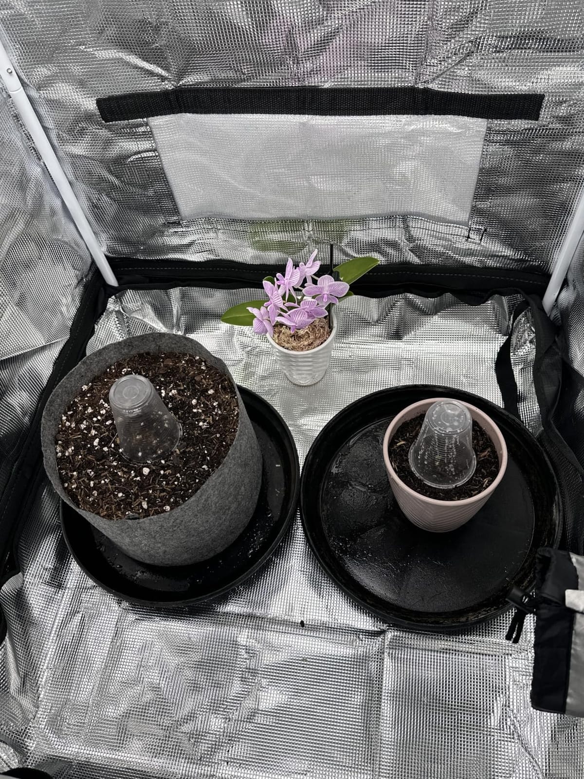 4x4 Grow Tent, 48