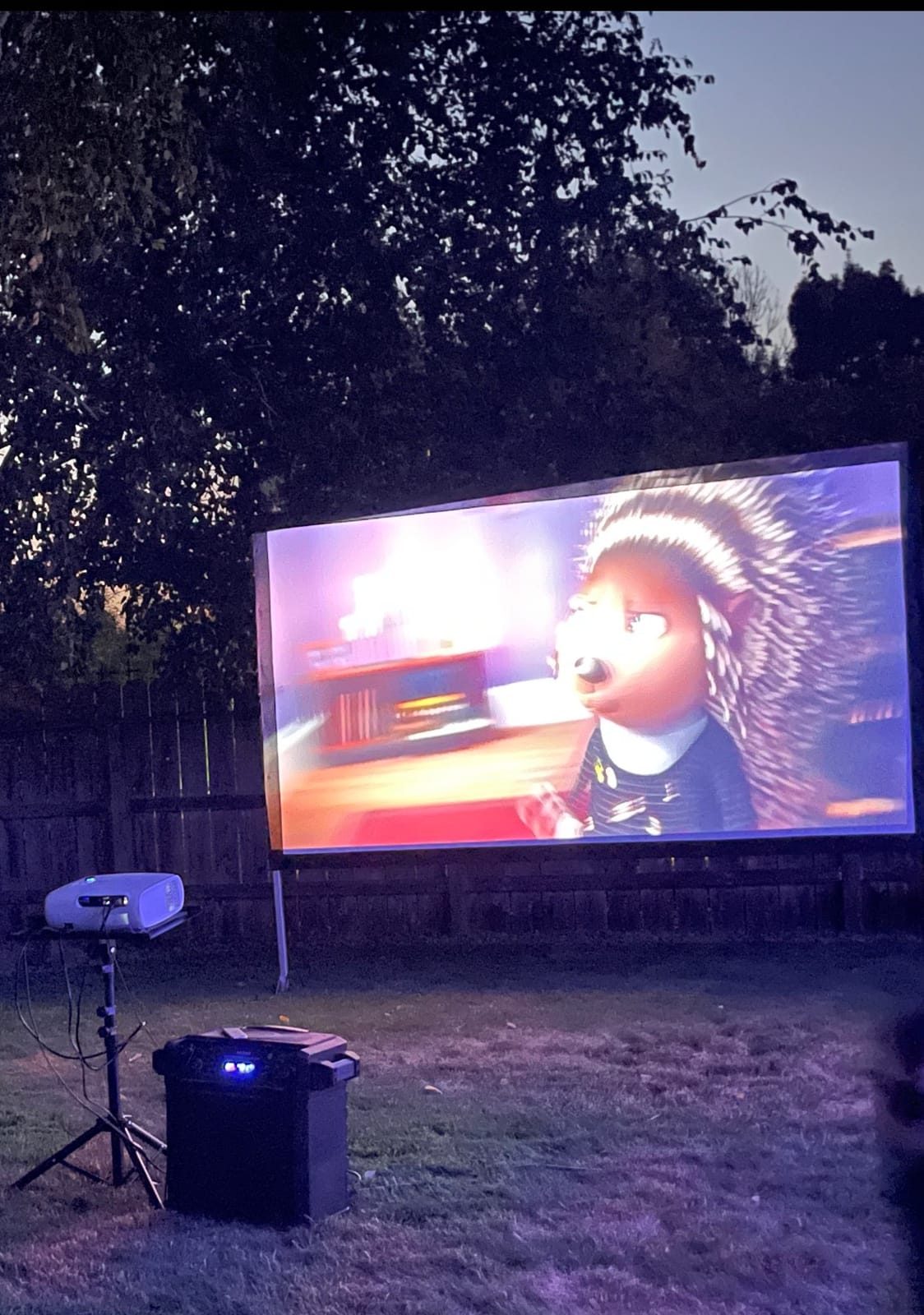 Projector Screen 120 inch,Outdoor Projector Screen with 3-Layers PVC customer photo 1