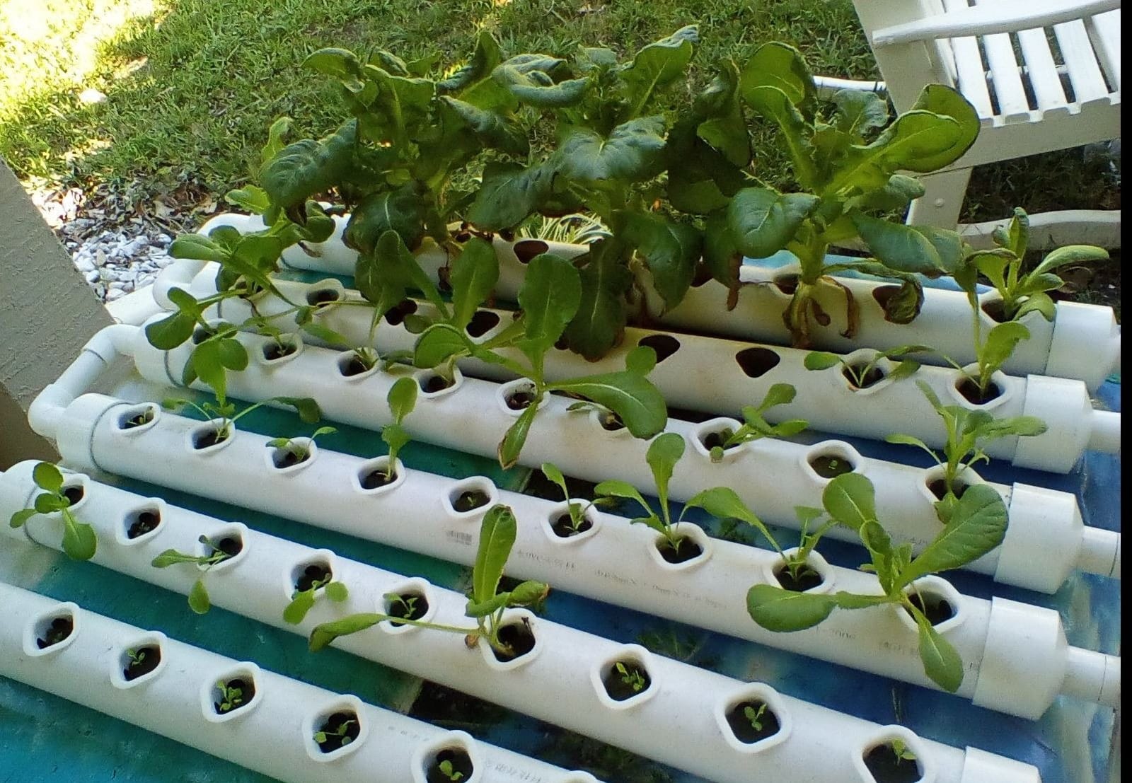 Hydroponic NFT 36 Holes Growing System with Special Fertilizer Timing Cycle, PVC Pipe Garden Plant Kit customer photo 1