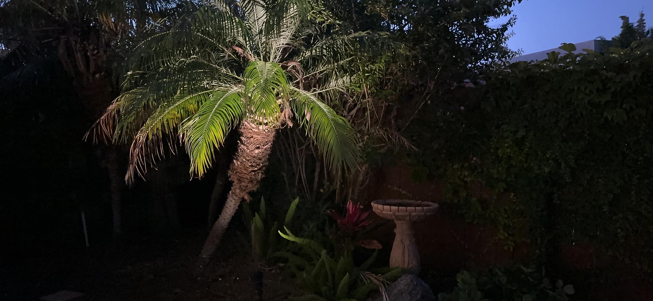 DEWENWILS 300W Low Voltage Landscape Transformer customer photo 2