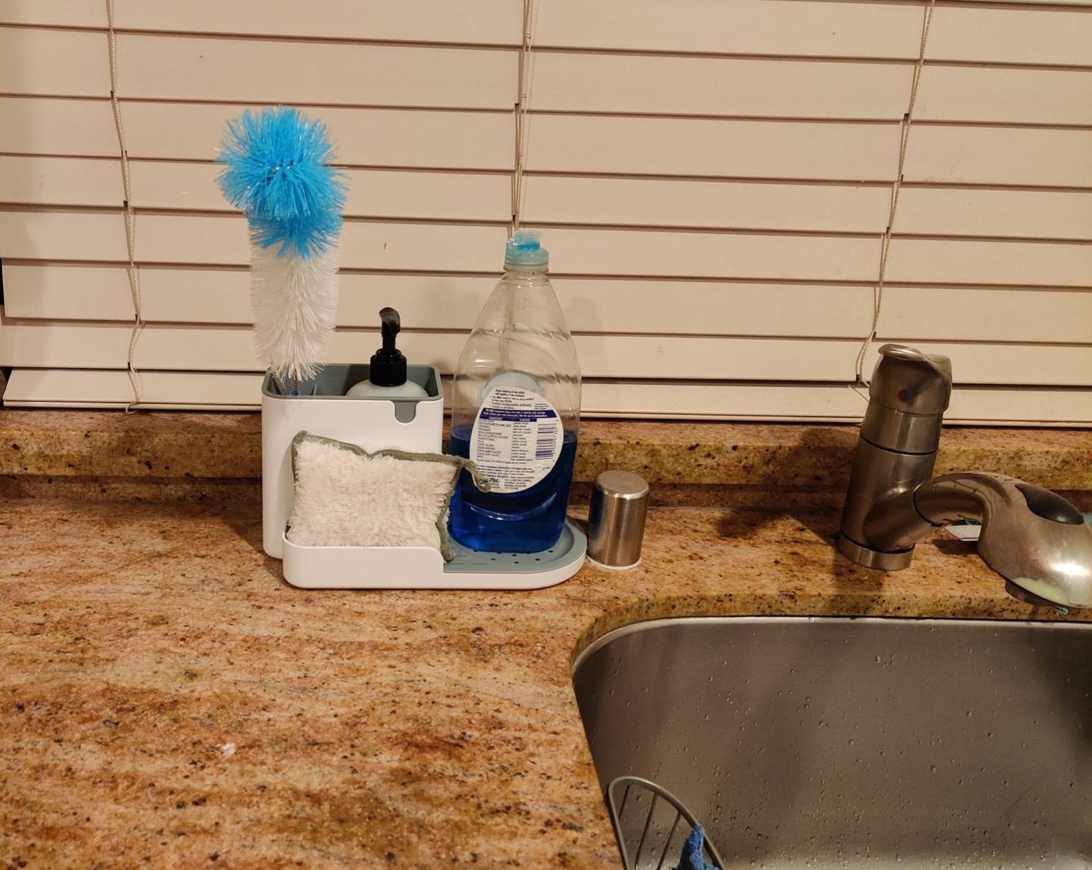 Amazon Basics Kitchen Sink Caddy Organizer for Sponge and Brush Storage, Large, White customer photo 2