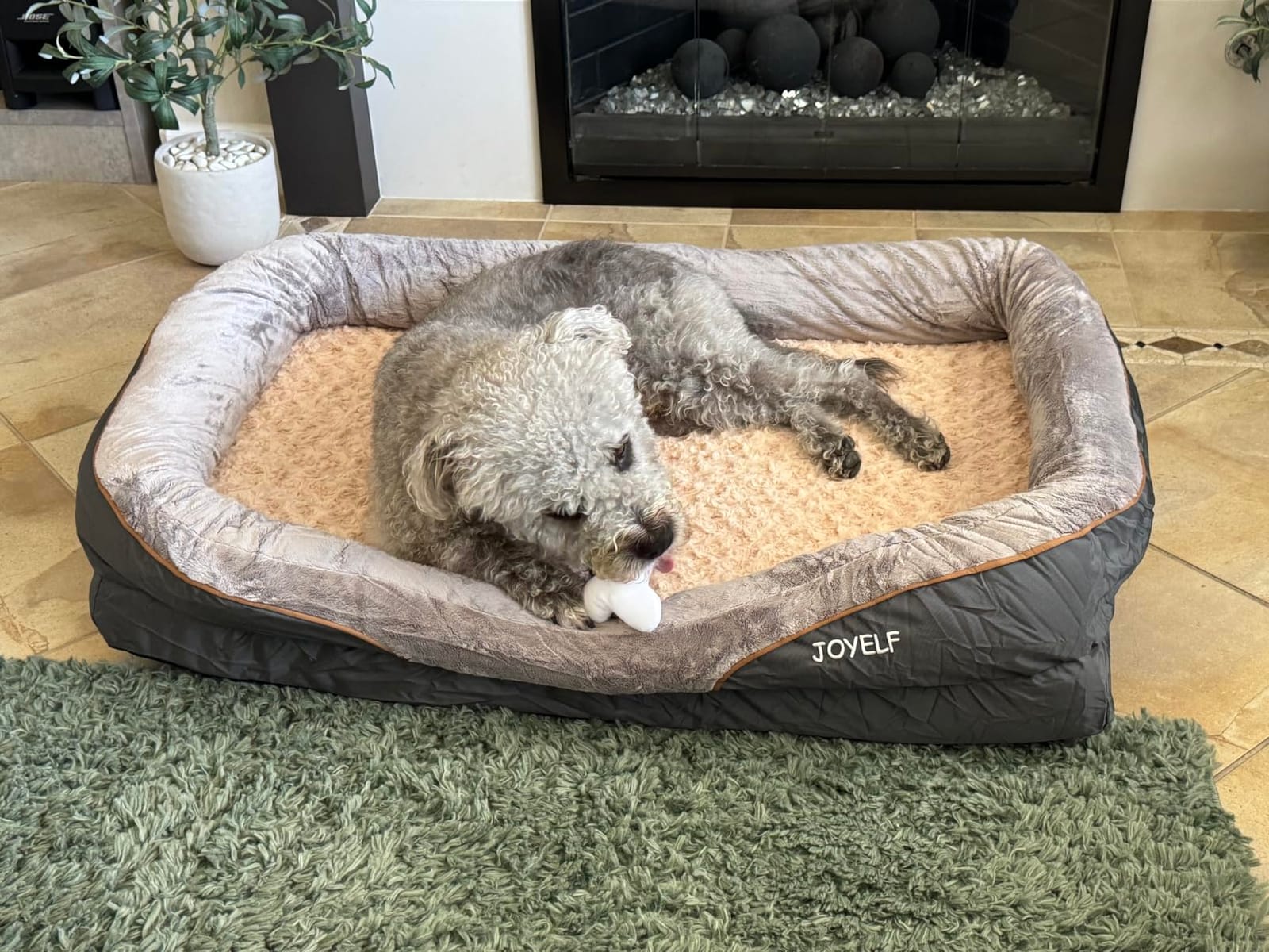 JOYELF XLarge Memory Foam Dog Bed, Orthopedic Dog Bed & Sofa with Removable Washable Cover and Squeaker Toy as Gift customer photo 2