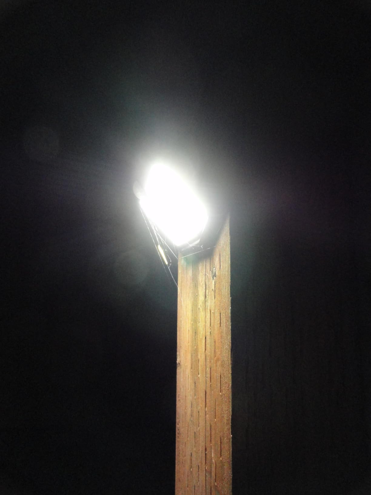 HMCITY Solar Lights Outdoor 120 LED with 3 Lighting Modes, Motion Sensor Wall Lights,IP65 Waterproof Solar Powered for Garden Patio Yard (Back Button 2Packs, Black Shell-Daylight White) customer photo 1