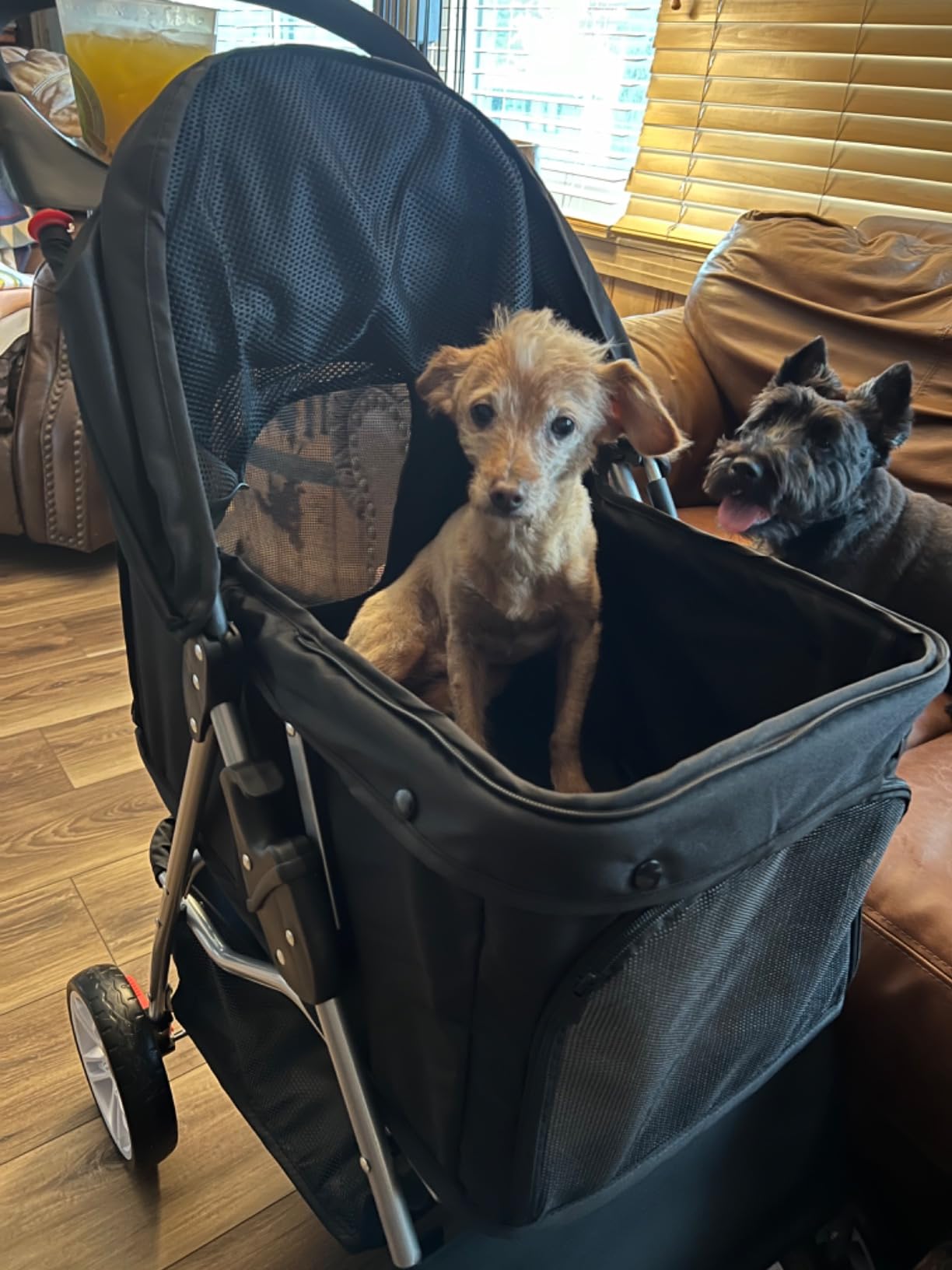 4 Wheels Pet Stroller Dog Cat Stroller for Small Medium Dog Cats Foldable Carrier Jogger Travel Puppy with Storage Basket and Cup Holder (Black) customer photo 2