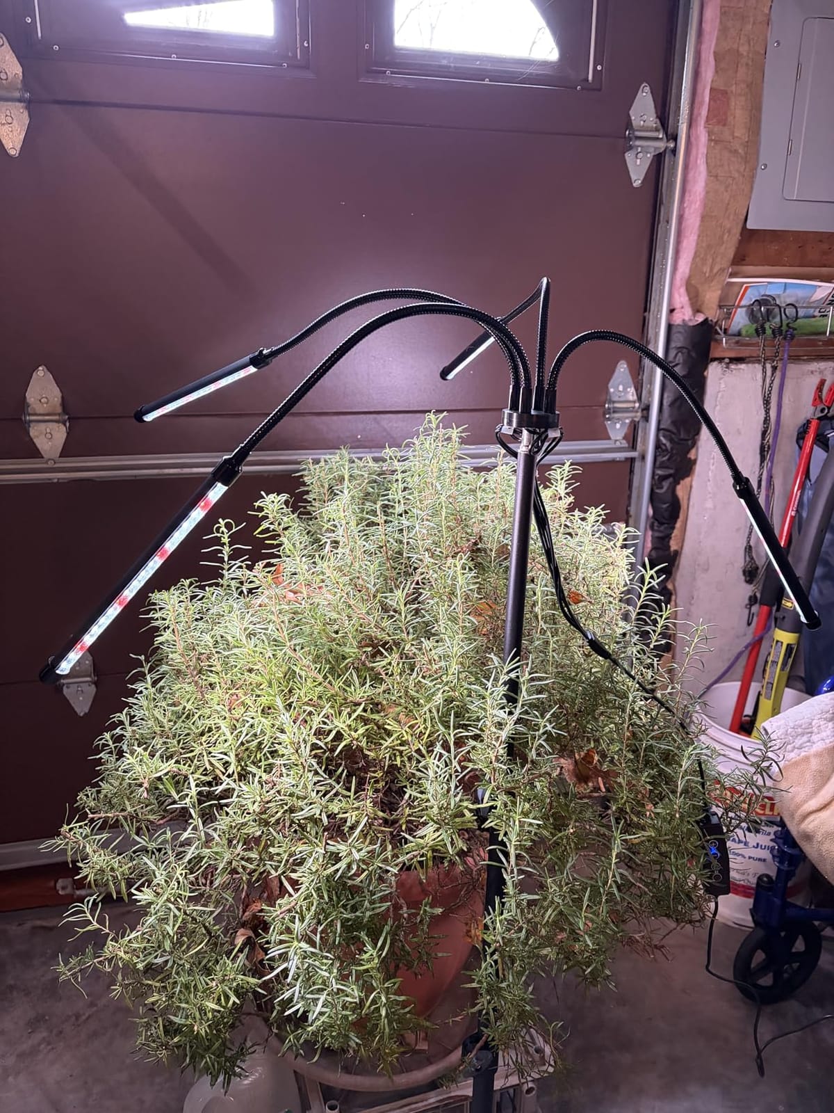 GHodec Grow Light Free Standing, 5500K Full Spectrum Gooseneck LED Lamp customer photo 2