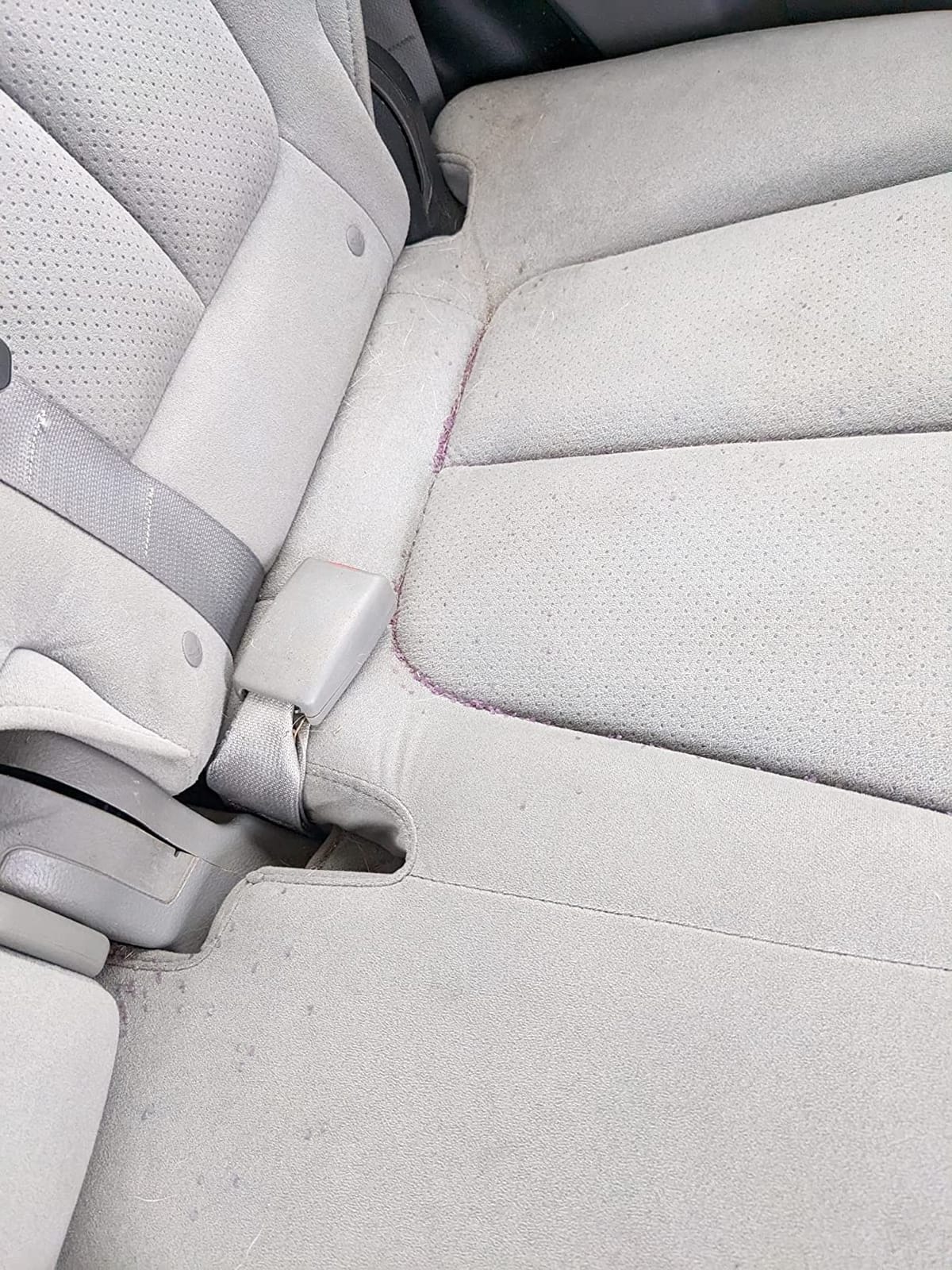 Honest Dog Car Seat Covers, Dog seat Cover with Side Flap for Cars, Trucks, and Suv's - Waterproof & Nonslip Pet Seat Cover for Backseat customer photo 2