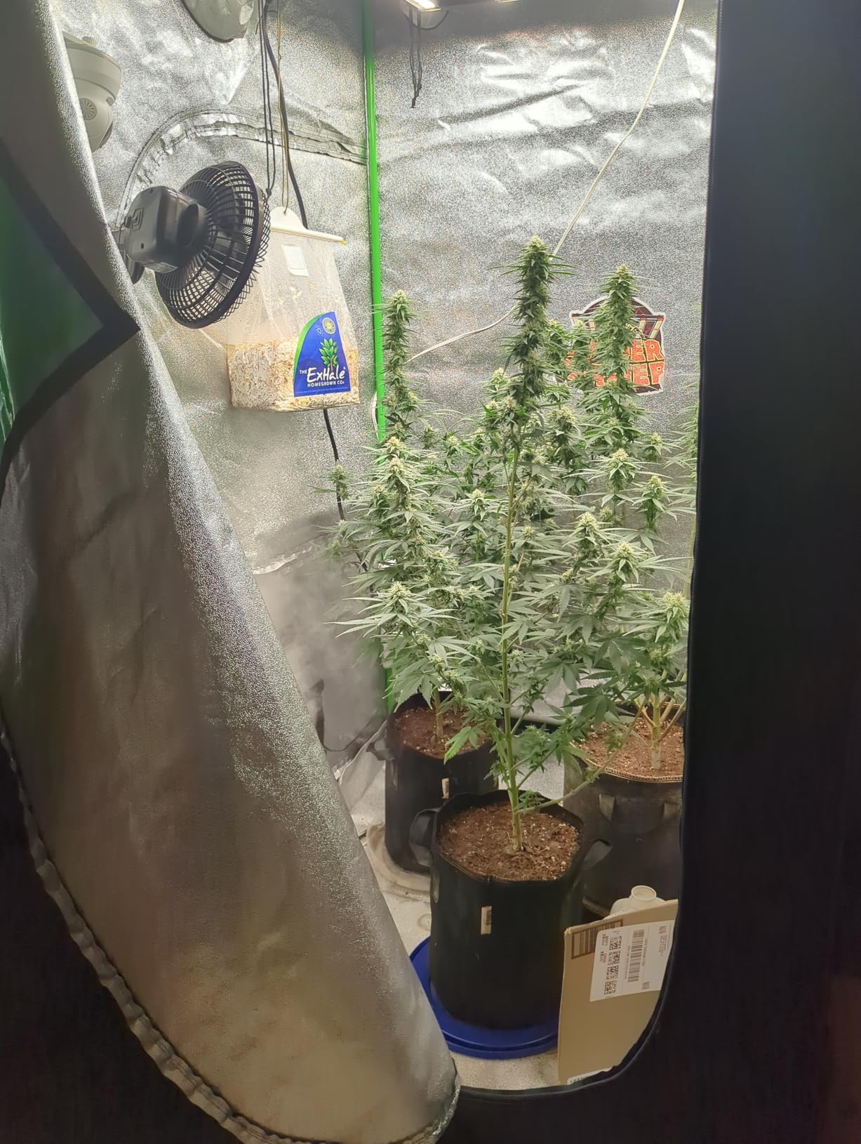 Spider Farmer 5x5 Grow Tent 60