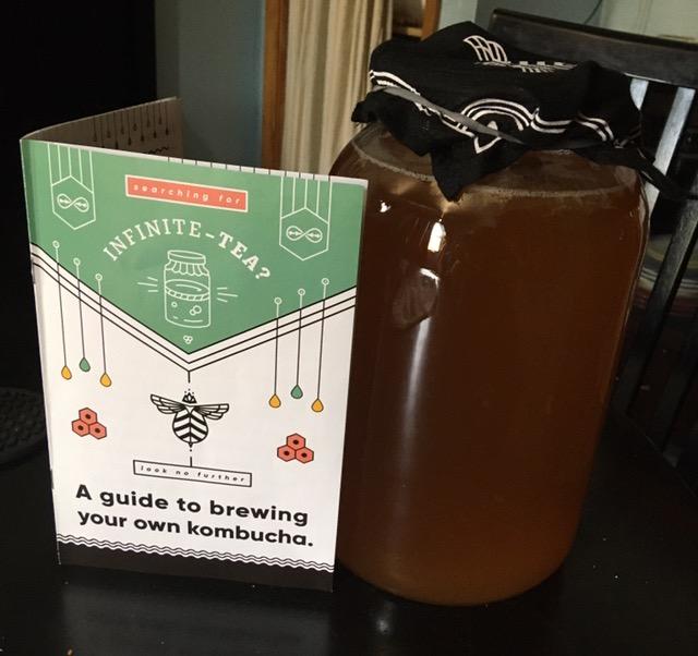 Craft A Brew Home Brewing Starter Kit Kombucha Tea Kit – Home Kombucha Kit – Fermentation Starter with Kombucha SCOBY – 1 Gallon customer photo 2