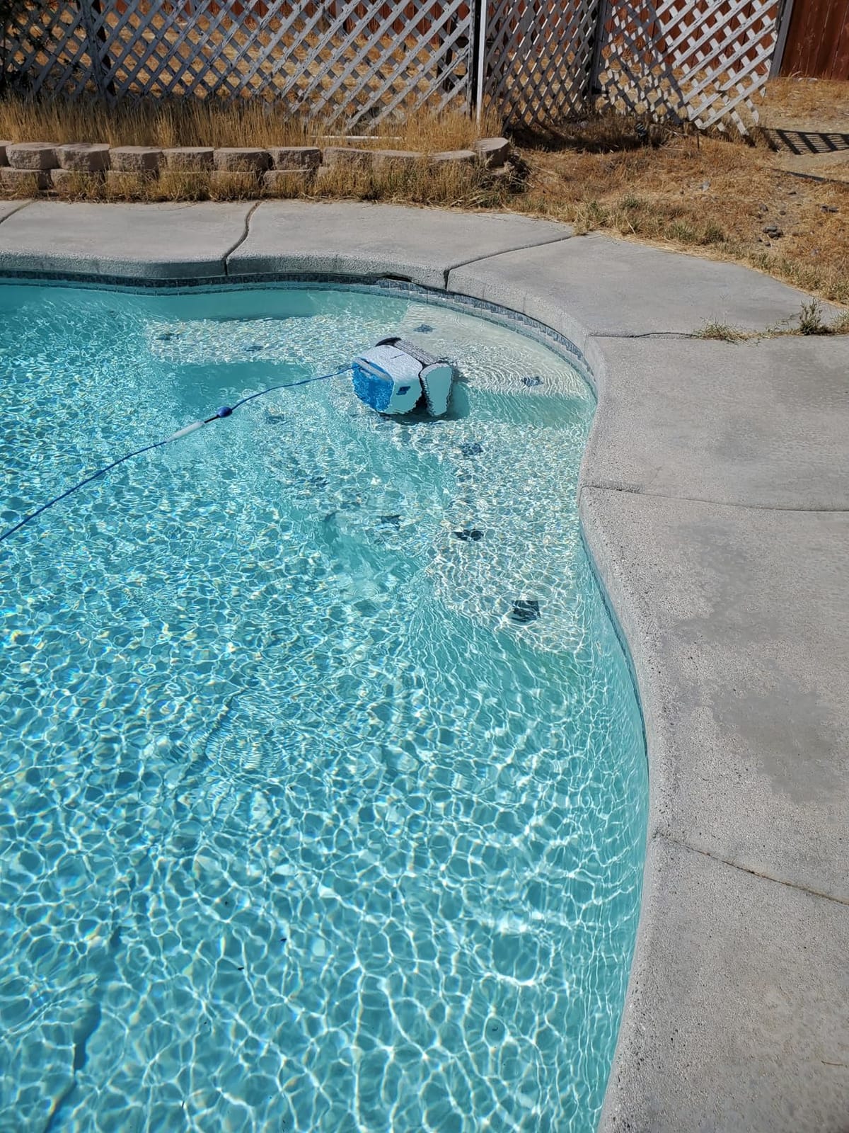 Dolphin Proteus DX5i Wi-Fi Automatic Robotic Pool Vacuum Cleaner, Wall Climbing, Waterline Scrubber Brush, Ideal for In-Ground Pool up to 50 FT in Length customer photo 2