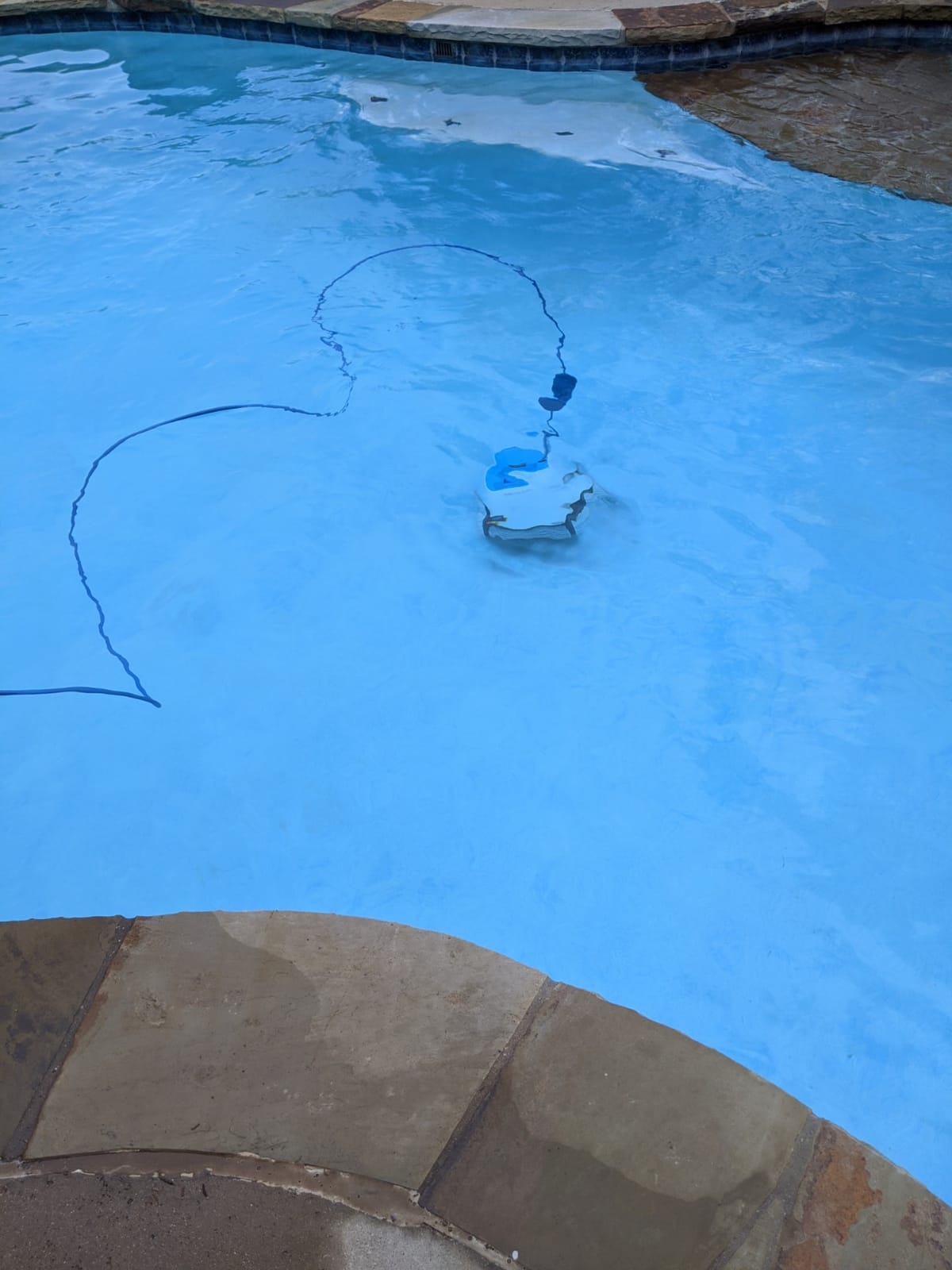 Dolphin Proteus DX3 Automatic Robotic Pool Vacuum Cleaner, Wall Climbing, Active Scrubber Brush, Ideal for In-ground Pools up to 33 FT in Length customer photo 2