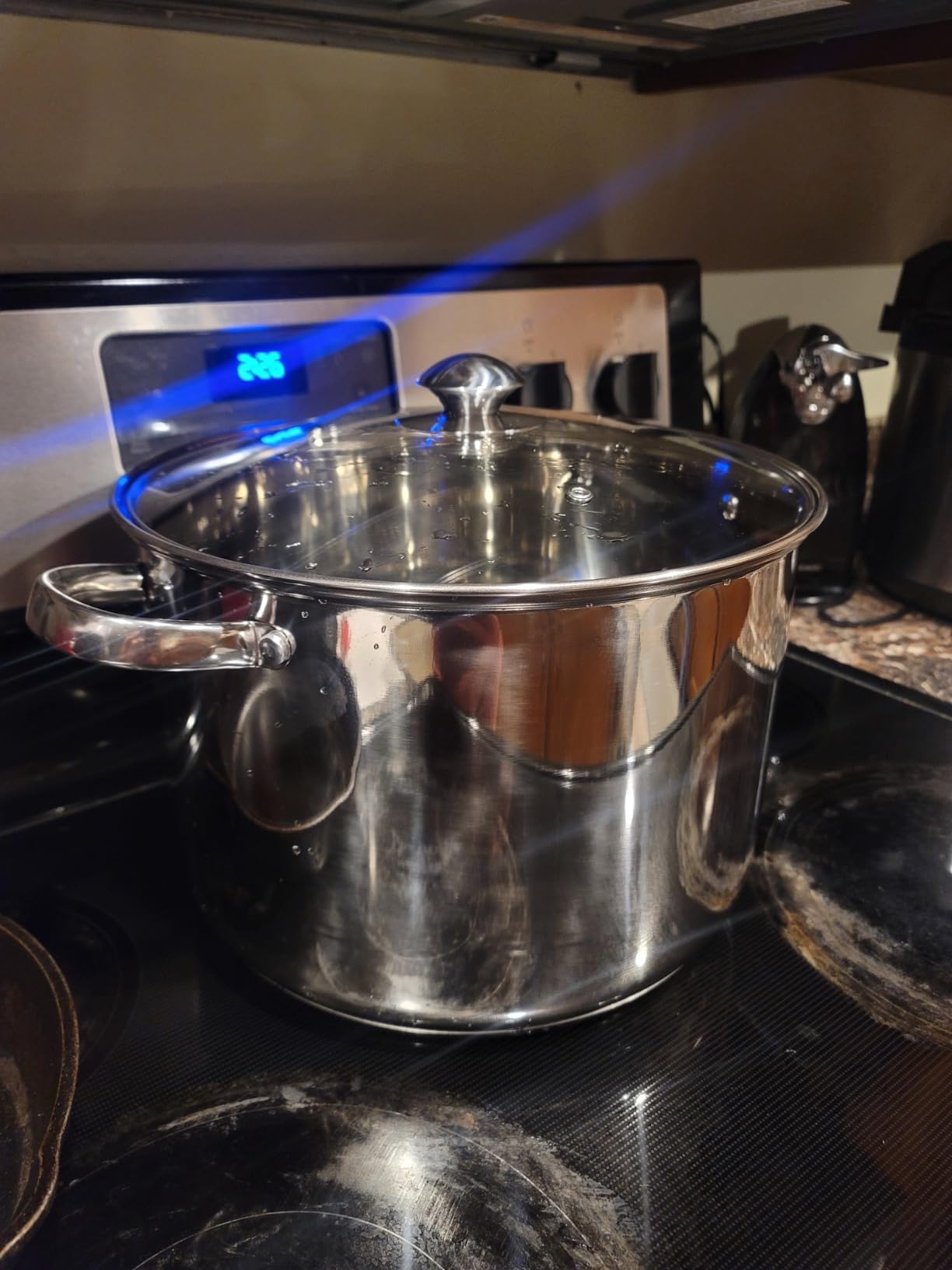 Ecolution Stainless Steel Stock Pot, Encapsulated Induction Ready Cooking Pot with Glass Lid, Oven Safe, Dishwasher Safe Soup Pot, 8-Quart customer photo 1