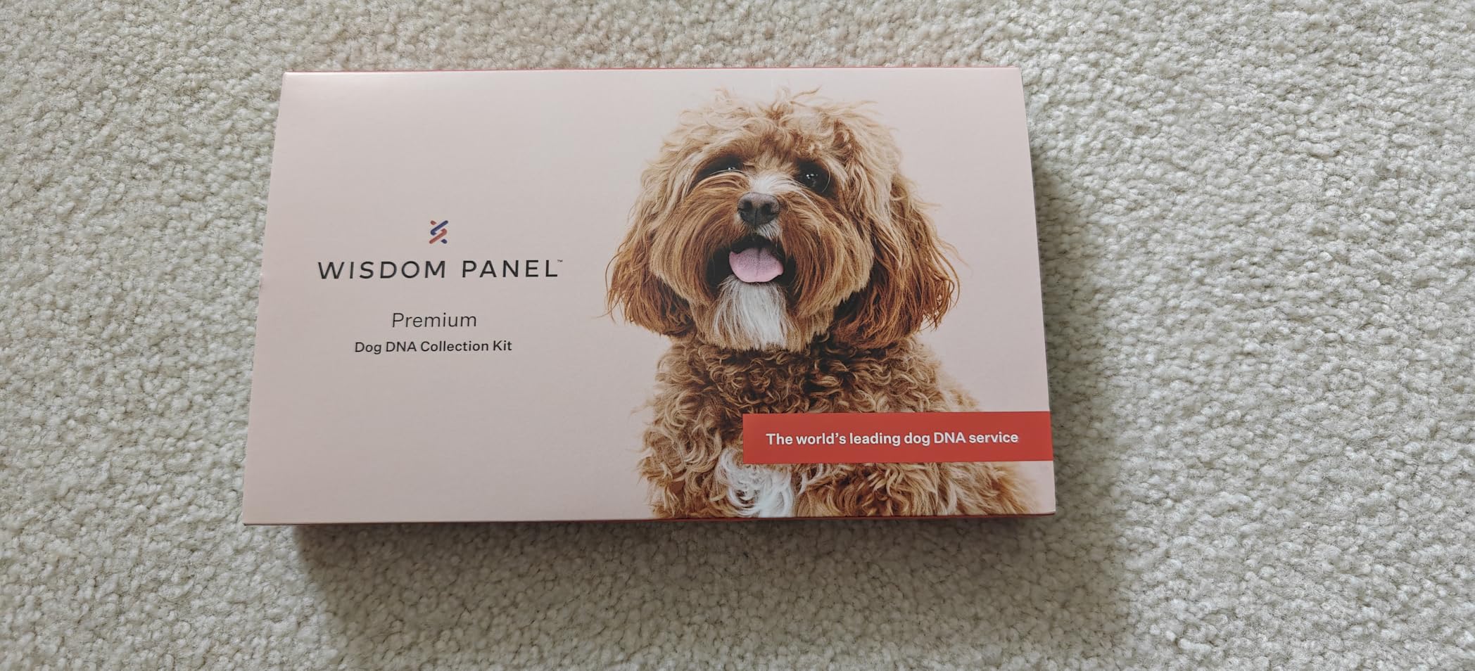 Wisdom Panel Premium Dog DNA Test, 265+ Health Tests, 430+ Breeds customer photo 1