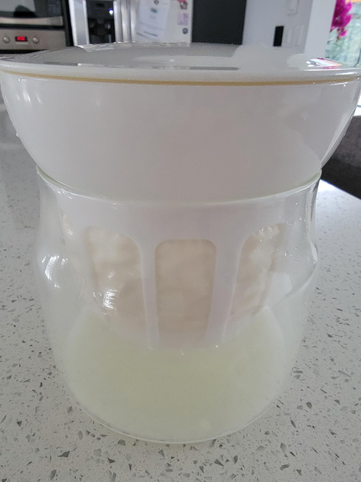Bear Yogurt Maker, Greek Yogurt Maker Machine with Strainer&Timer Control customer photo 1