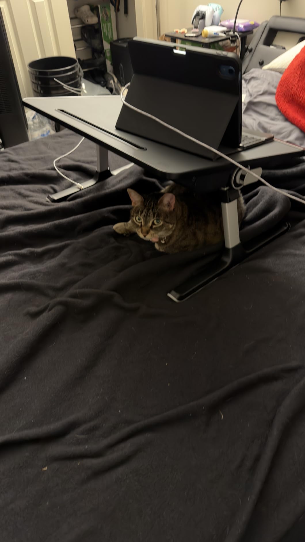 Laptop Lap Desk for Bed, SAIJI X-Large Adjustable Laptop Table customer photo 2