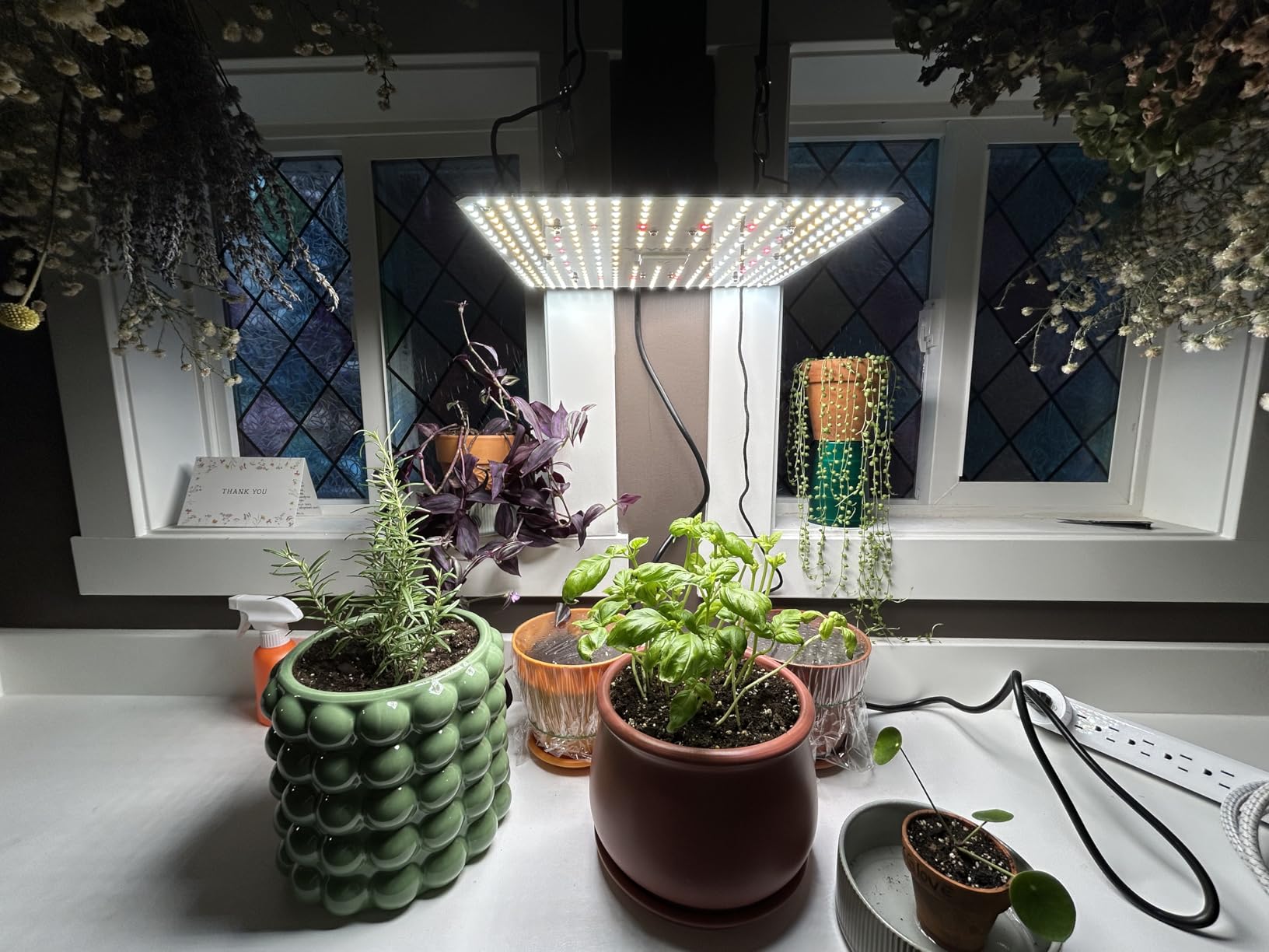 VIVOSUN LumaLight 100W LED Grow Light, Full Spectrum Plant Light customer photo 1