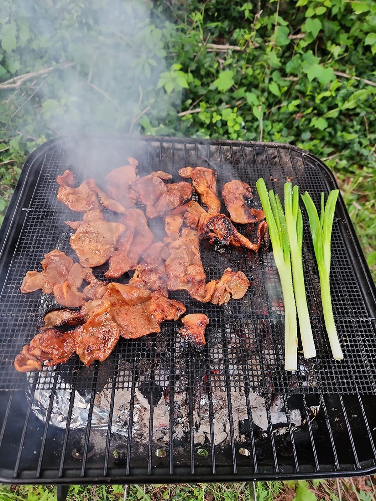AOOCAN Grill mesh mat - Set of 5 Non Stick BBQ Grill mats, Heavy Duty, Reusable Grilling mats, Easy to Clean - Works on Gas, Charcoal, Pellet Grill - 15.75 x 13 in, Black customer photo 2