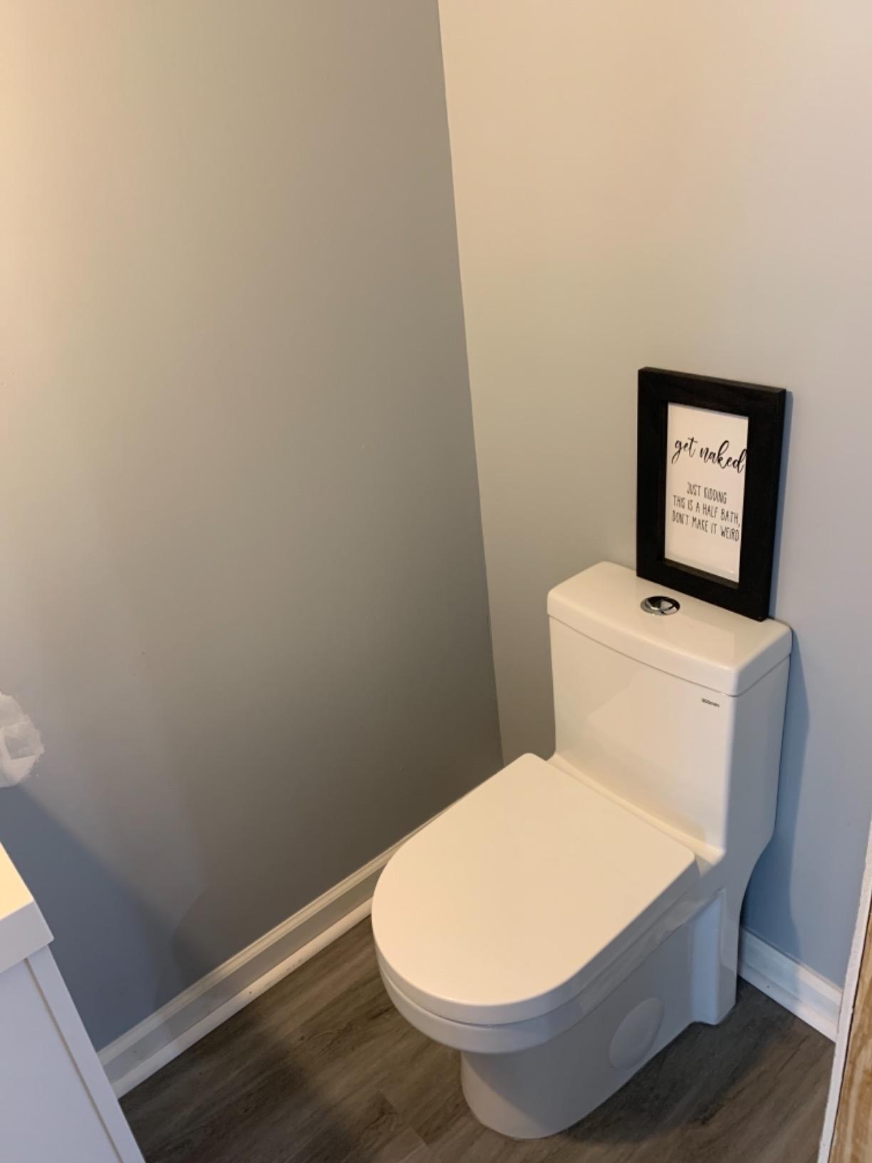 HOROW HT1000 Dual Flush One Piece Toilet, Modern Small Toilet with Soft Closing Seat, Quick Release & 12'' Rough-in, Compact & Round for Small Bathroom, Standard White Finish Toilet Bowl customer photo 1