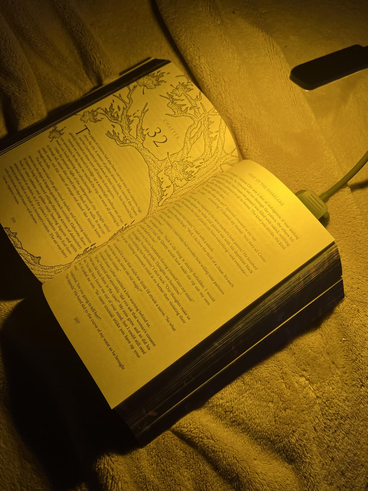 Gritin 9 LED Rechargeable Book Light for Reading in Bed customer photo 1