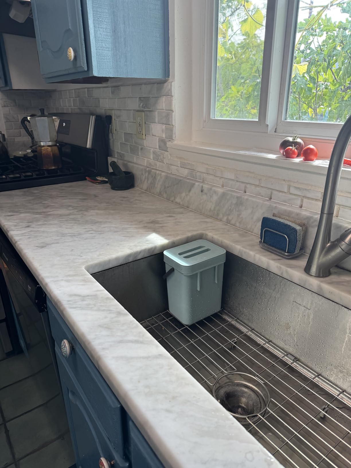 LALASTAR Compost Bin Kitchen, Small Compost Bin for Kitchen, Countertop Compost Bucket with Lid, Odorless Hanging Trash Can for RV/Office/Dog, Mini Food Waste Bin for Countertop, 3L/0.8 Gal, Blue customer photo 2