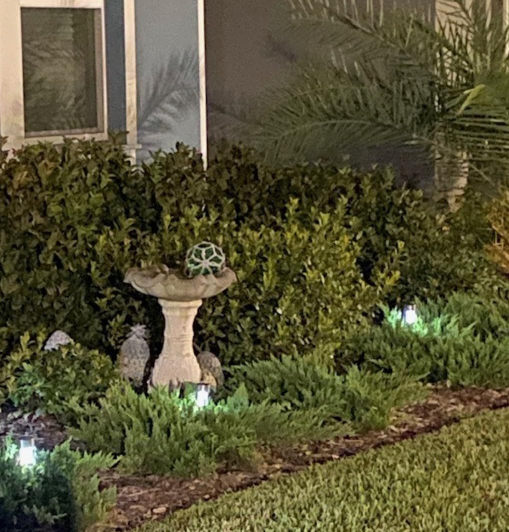 GIGALUMI Outdoor Waterproof Solar Pathway Lights, 12 Pack Warm White customer photo 2