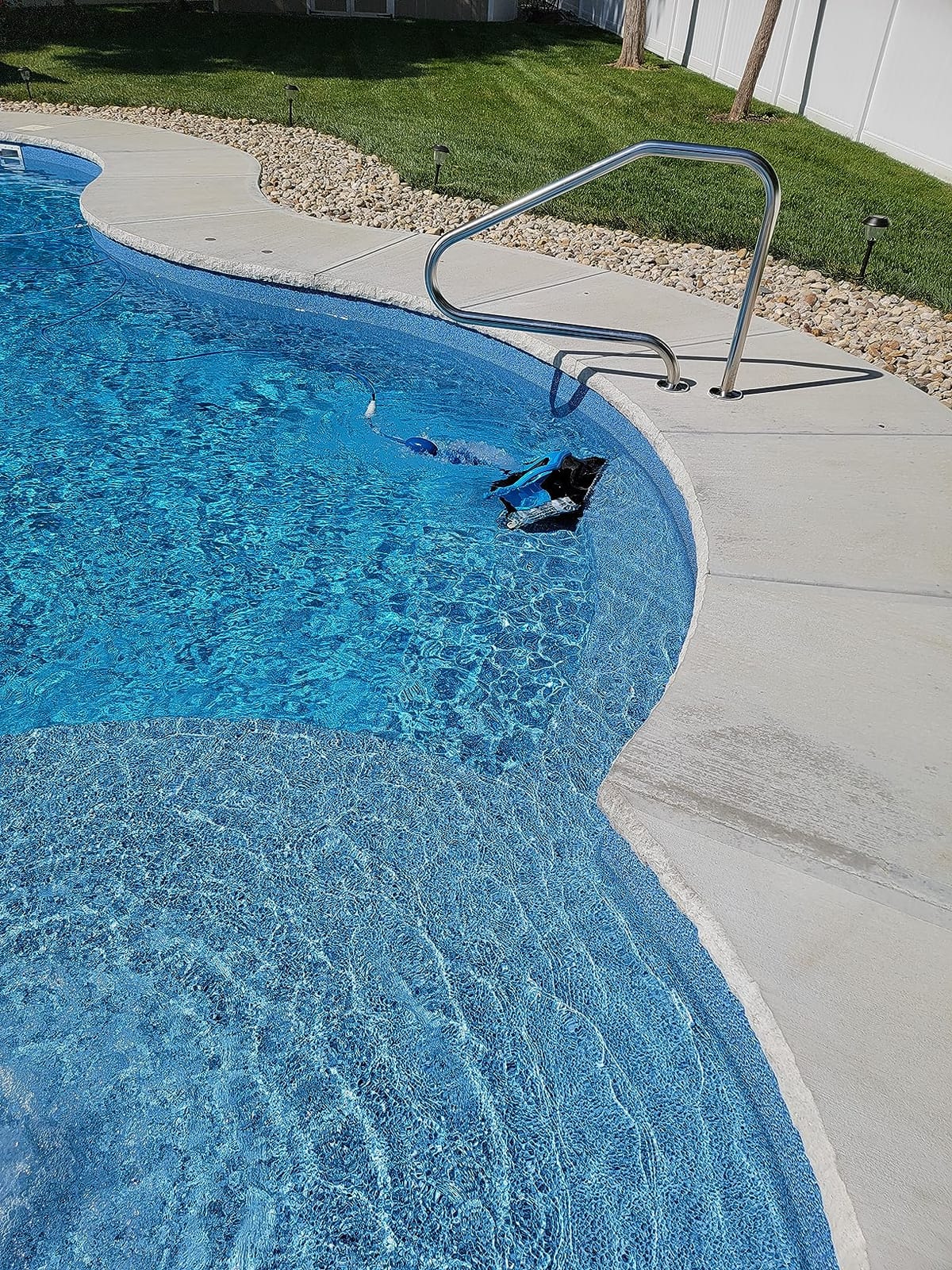 Dolphin Nautilus CC Plus Robotic Pool Vacuum Cleaner with Caddy and Classic Caddy Cover, Store and Protect, Ideal for All Pools up to 50 FT in Length customer photo 1
