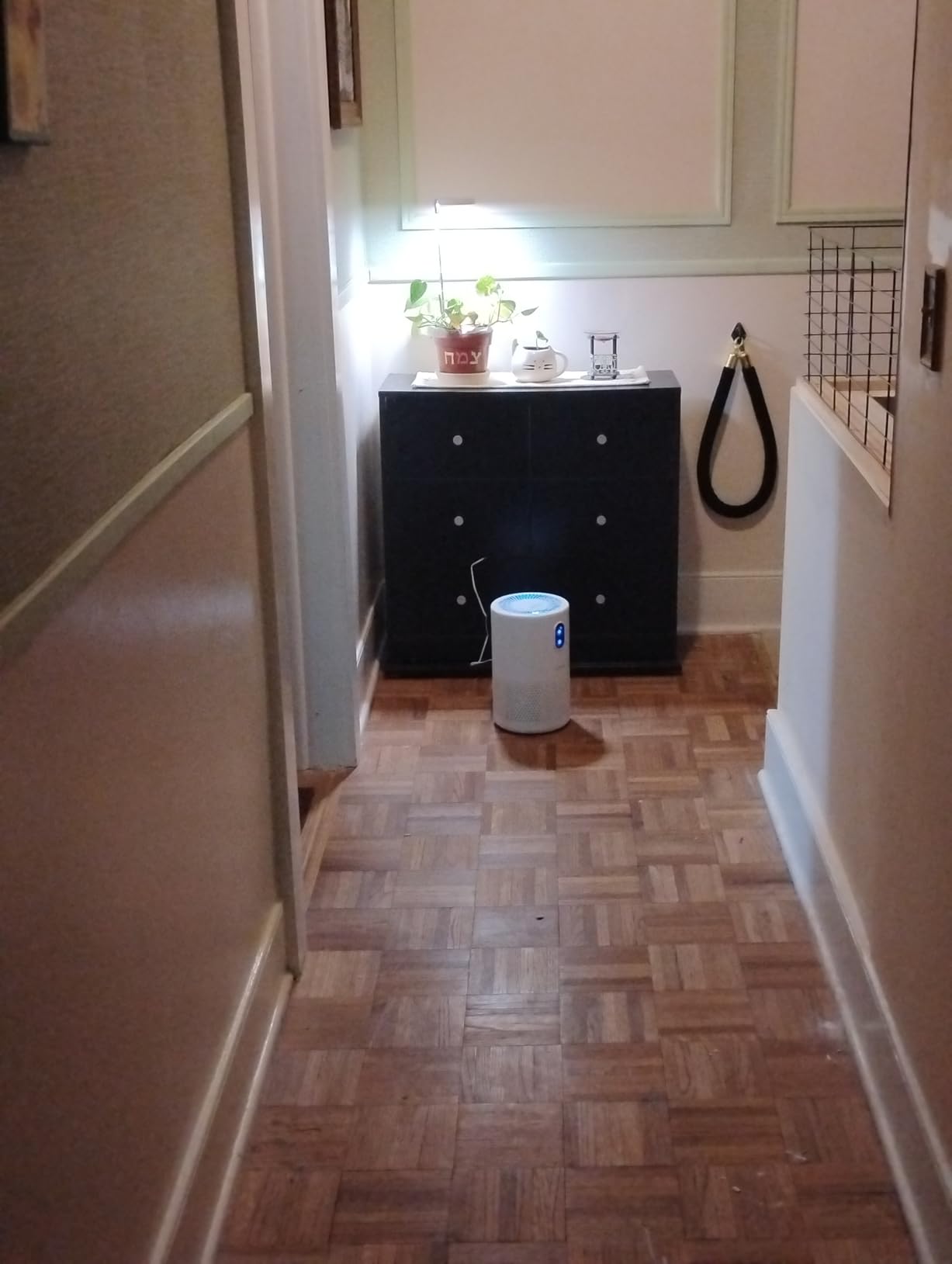MOOKA Air Purifiers for Home Room up to 1076ft², True HEPA Filter, B-D02L customer photo 1