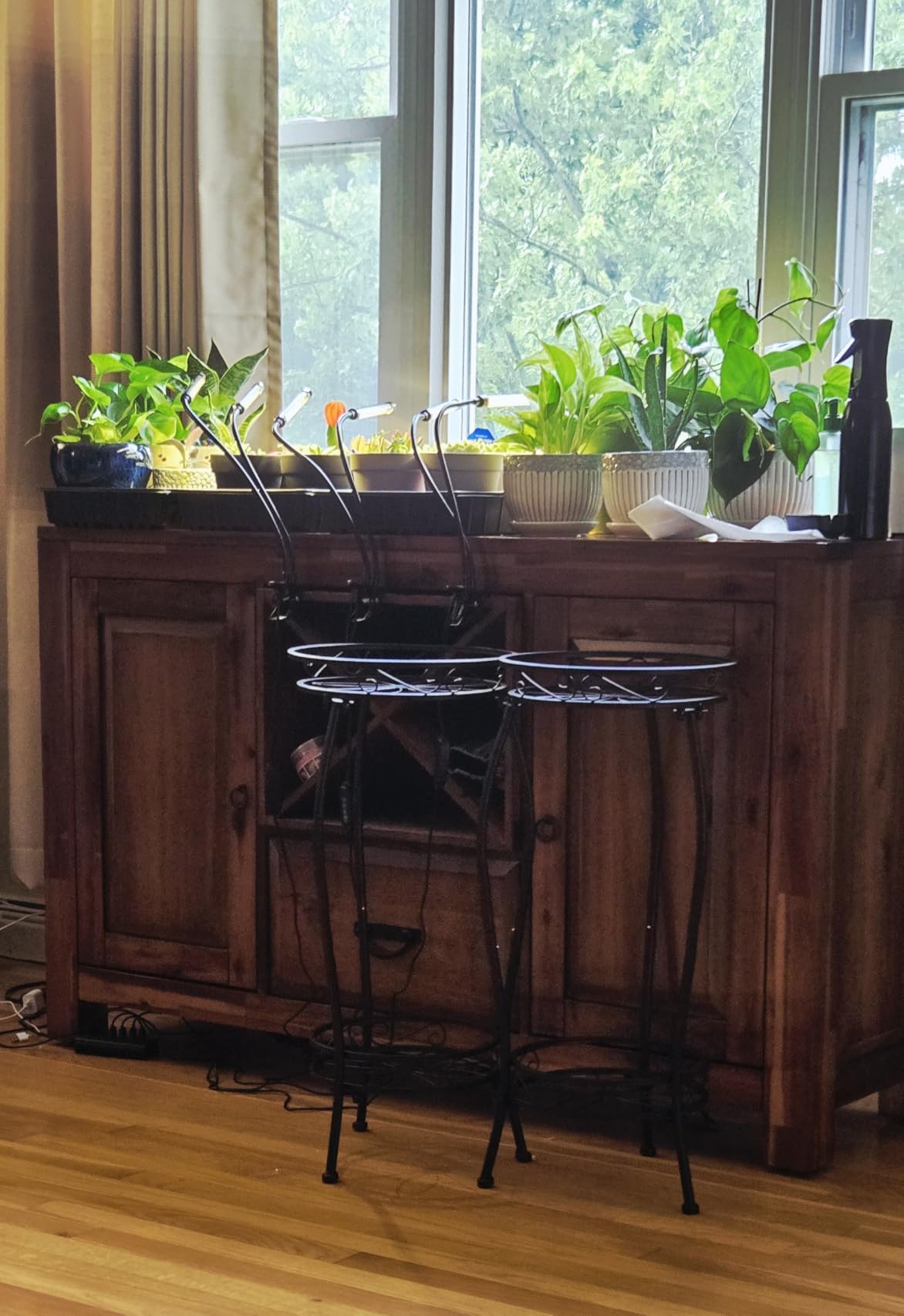 bseah Grow Light Plant Lights for Indoor Plants, Full Spectrum Plant Grow Lamp, 10 Dimmable Levels, Auto ON & Off with 3/9/12H Timer customer photo 1