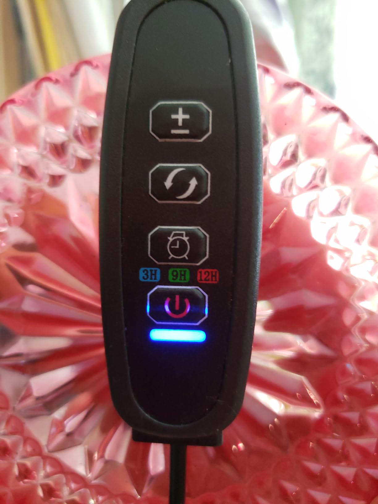 bseah Grow Light Plant Lights for Indoor Plants, Full Spectrum Plant Grow Lamp, 10 Dimmable Levels, Auto ON & Off with 3/9/12H Timer customer photo 2