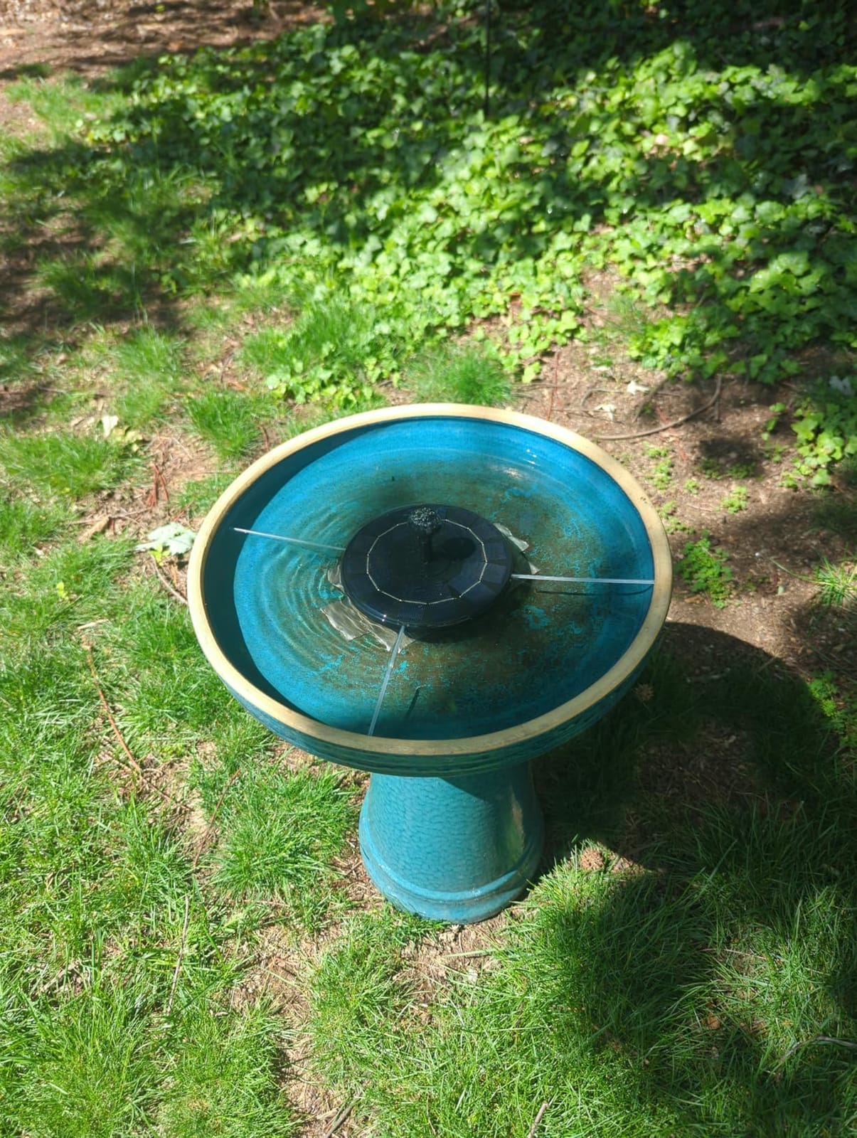 AISITIN 2.5W Solar Bird Bath Fountain Pump with 6 Nozzles & 4 Fixer customer photo 2
