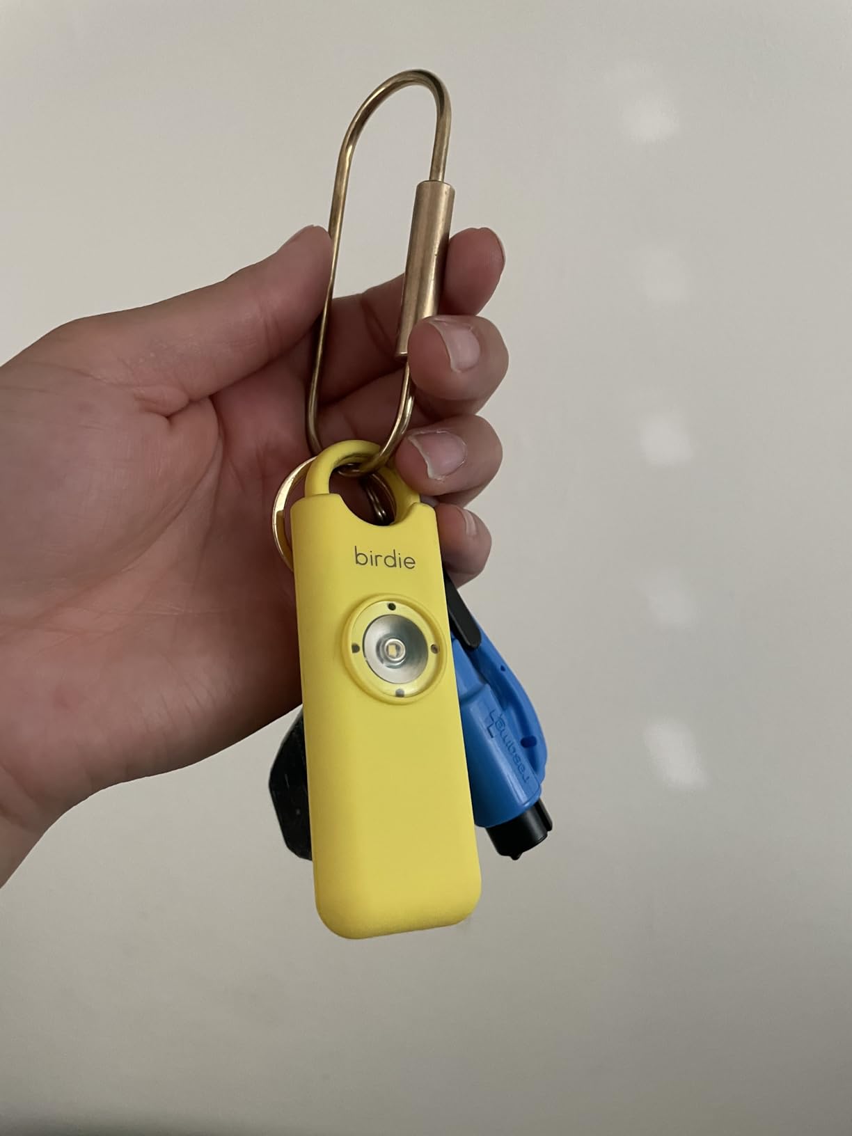 She’s Birdie–The Original Personal Safety Alarm for Women by Women–Loud Siren, Strobe Light and Key Chain in a Variety of Colors (Aqua) customer photo 1