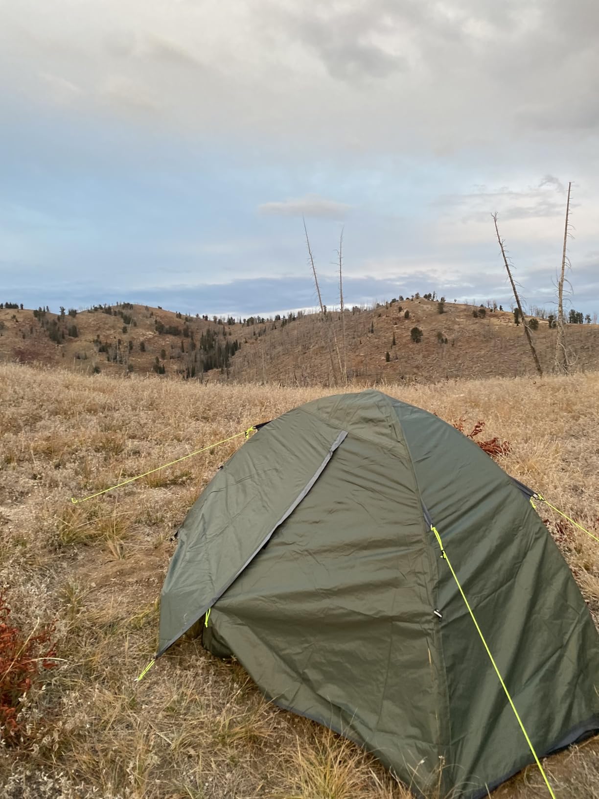 MC TOMOUNT Backpacking Tent 1-2 Person Waterproof Lightweight Camping Tent customer photo 1