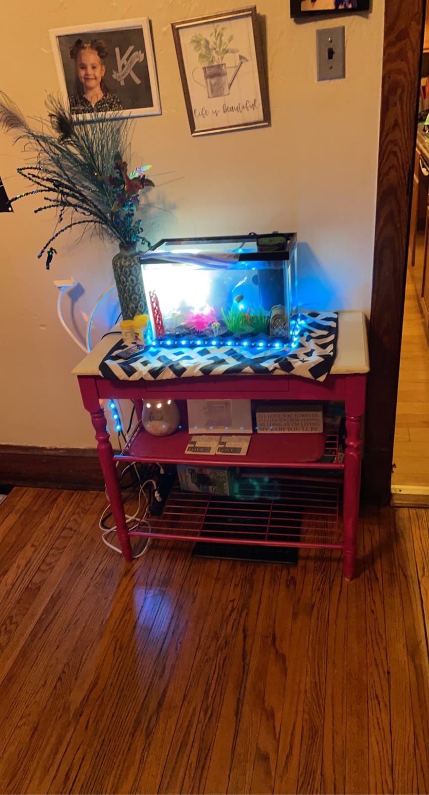 DaToo Small Aquarium Heater 50W Mini Fish Tank Heater 50 Watt Submersible with LED Temperature Display customer photo 1