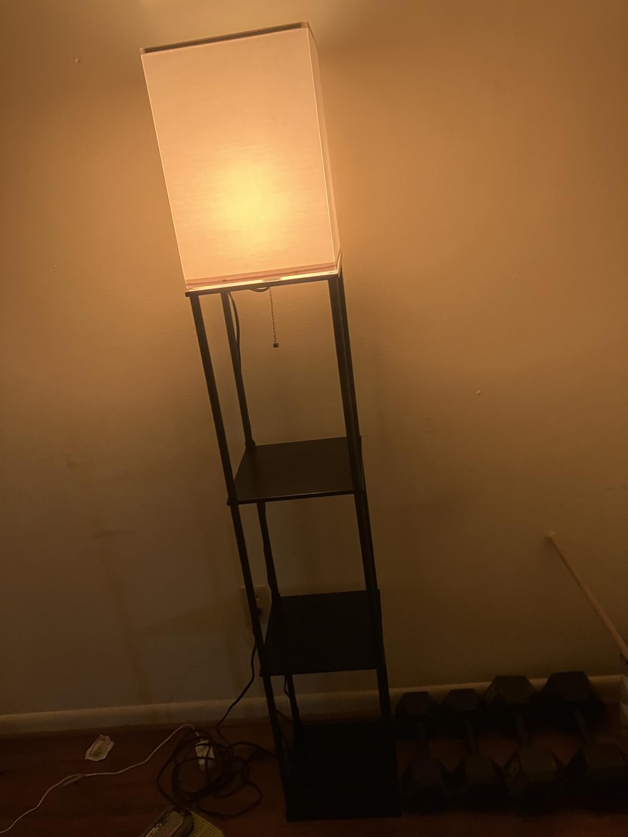 SUNMORY Floor Lamp with Shelves, Standing Lamps for Living Room, Black customer photo 2