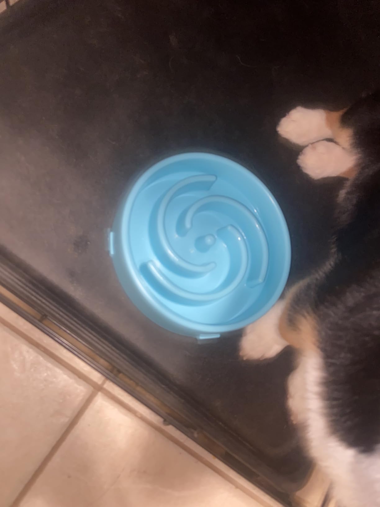Slow Feeder Dog Bowls for Large Medium Dog Non Slip Maze Puzzle Bowl Pet Slower Food Feeding Dishes Interactive Bloat Stop Preventing Choking Healthy Dog Bowl, Black customer photo 1