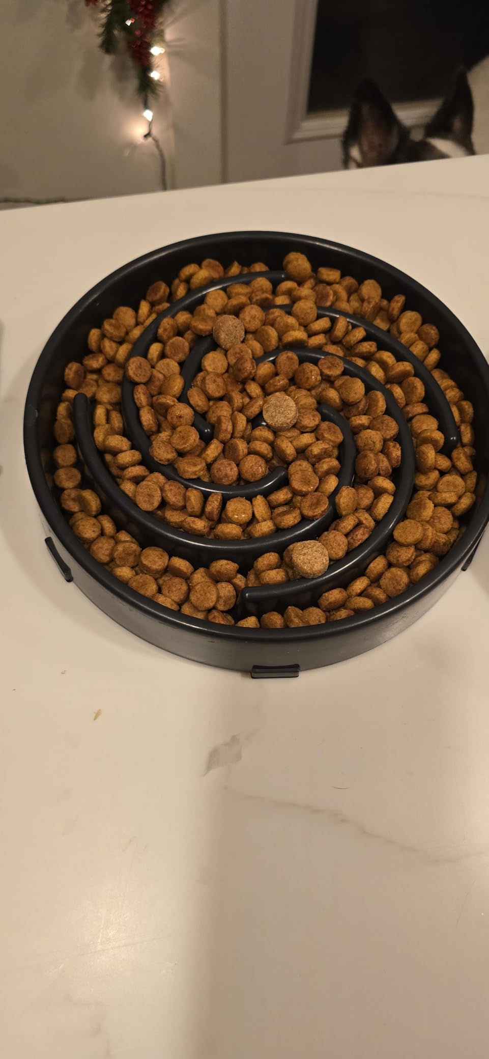 JASGOOD Slow Feeder Dogs Bowl for Large Medium Dogs,Anti-Gulping Pet Slower Food Feeding Bowls Stop Bloat,Preventing Choking customer photo 1